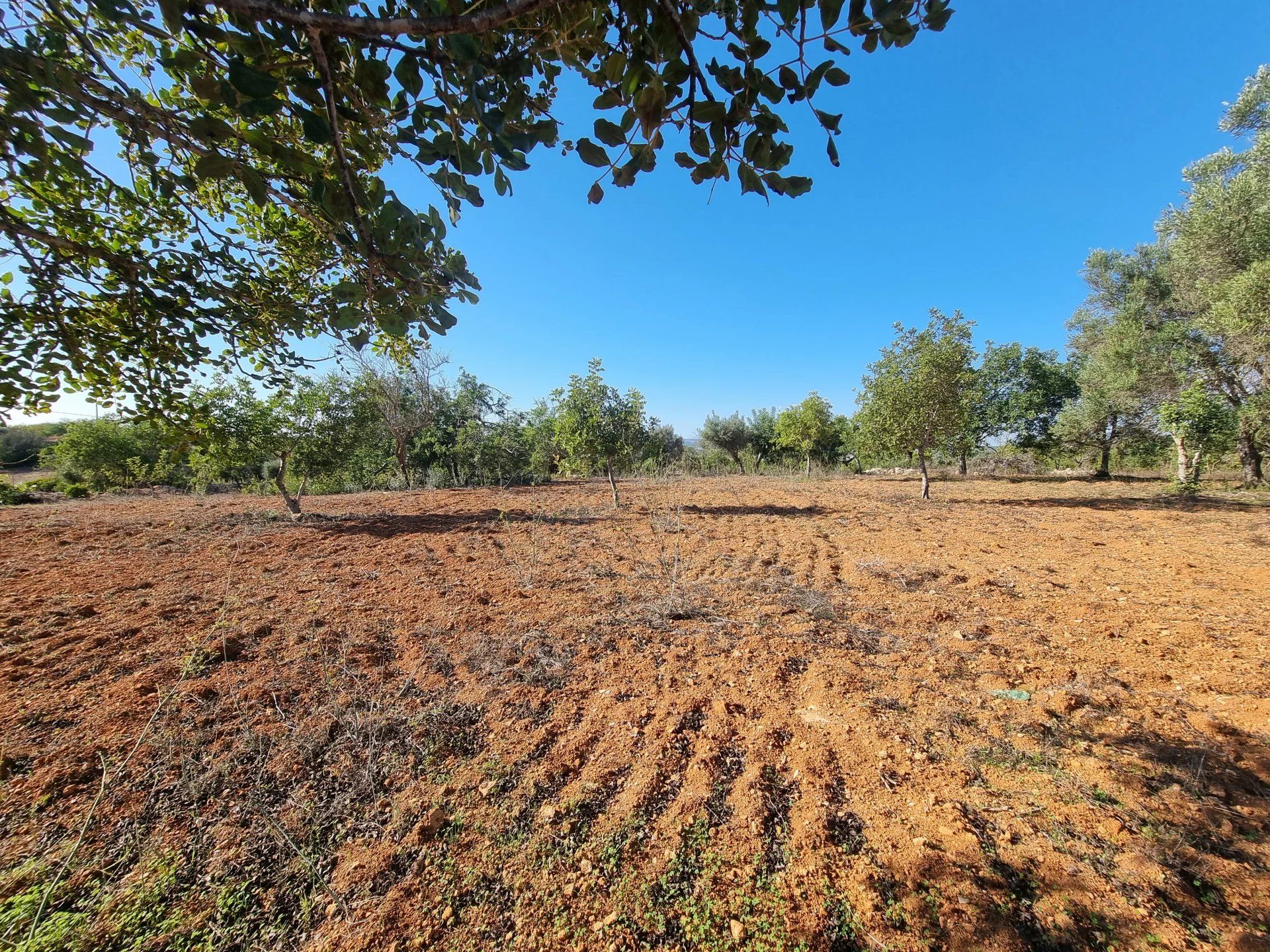 rumah dalam Albufeira, Faro 12817852