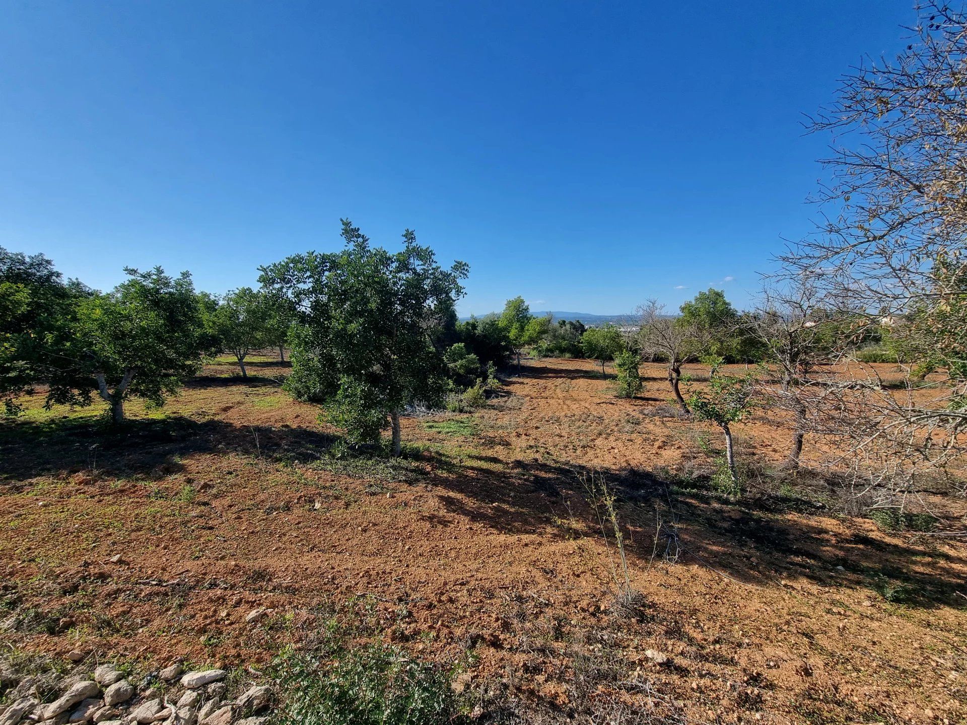 rumah dalam Albufeira, Faro 12817852