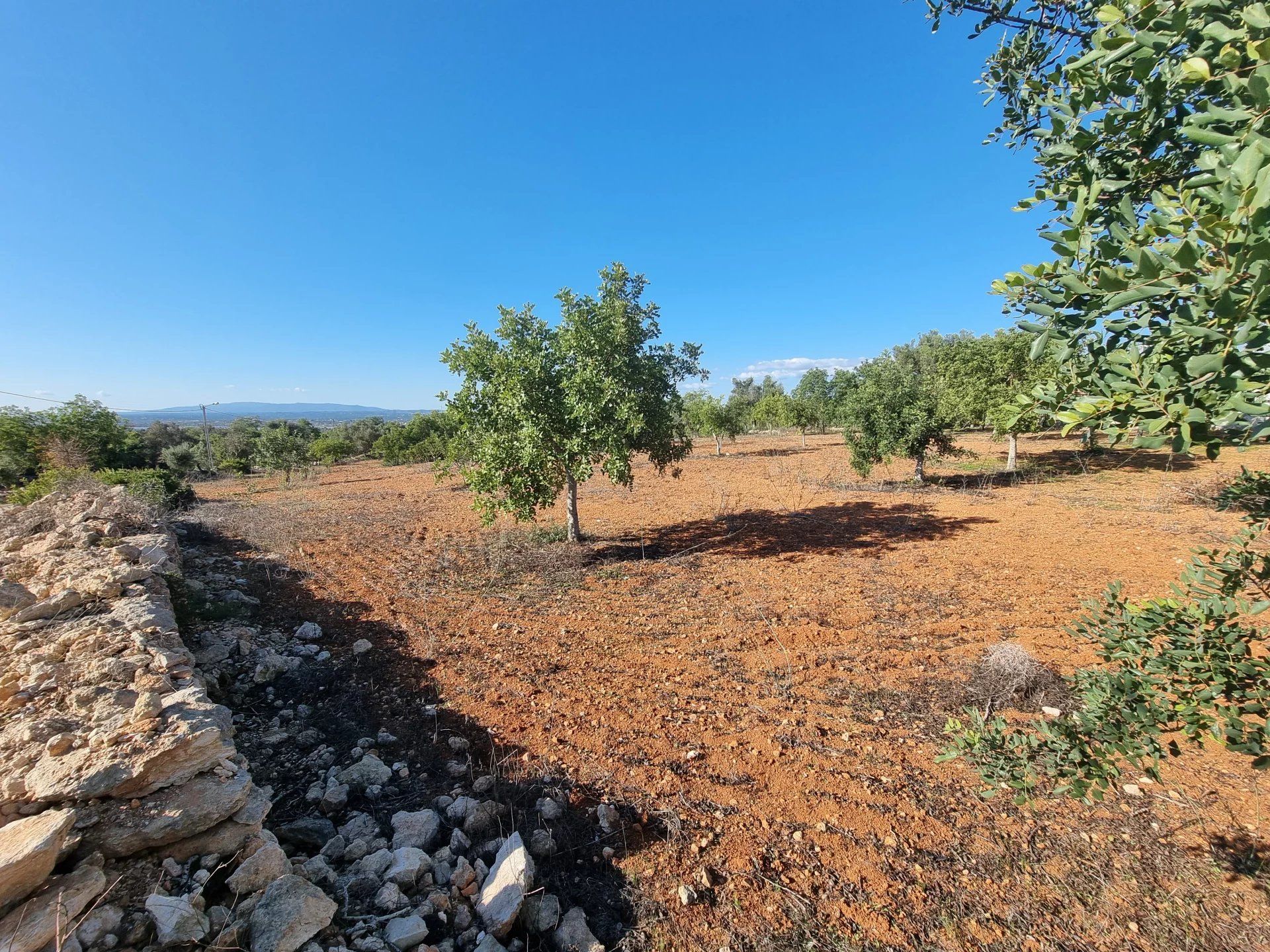 rumah dalam Albufeira, Faro 12817852