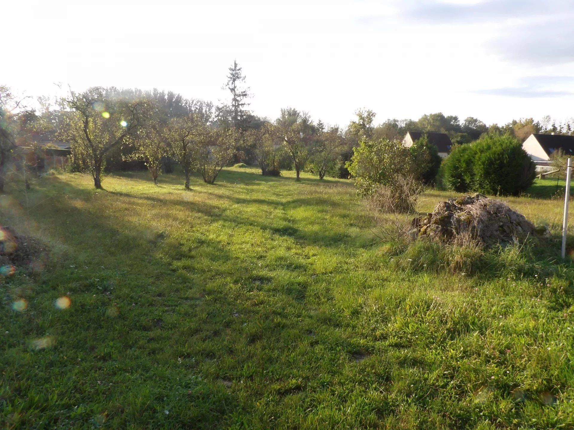 Land in Aulnay-la-Rivière, Loiret 12817948