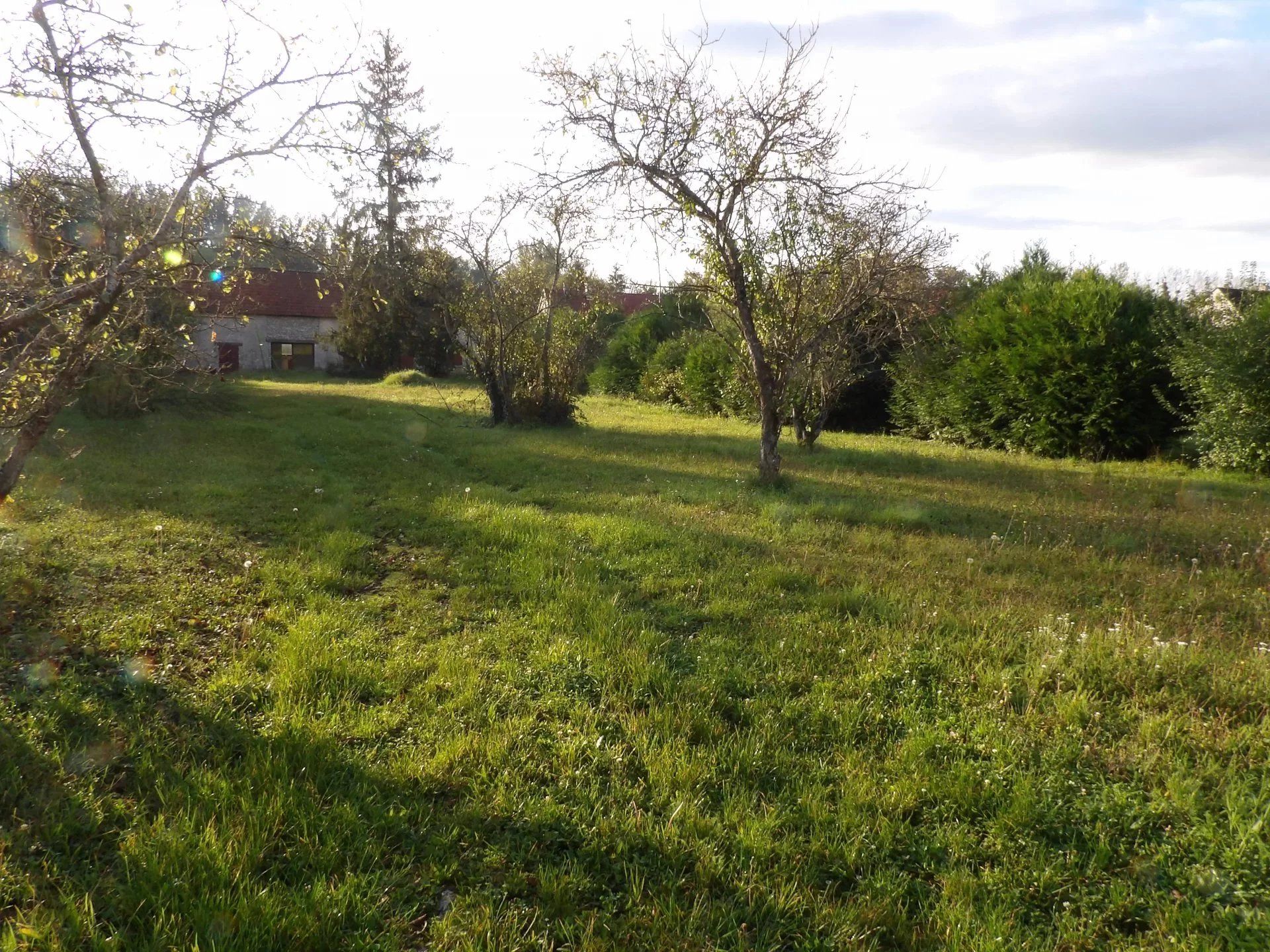 Land in Aulnay-la-Rivière, Loiret 12817948