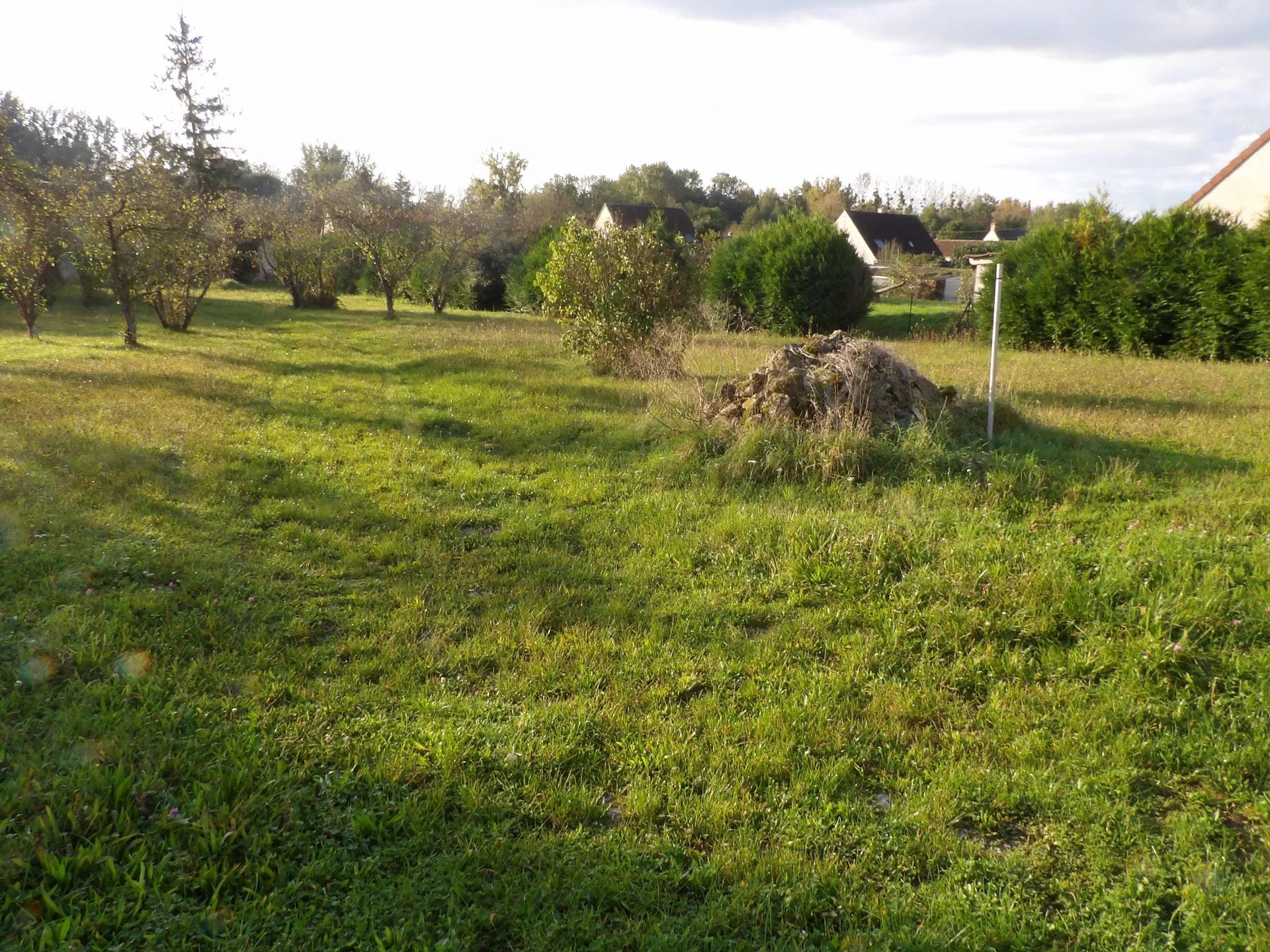 Tanah di Aulnay-la-Rivière, Loiret 12817949