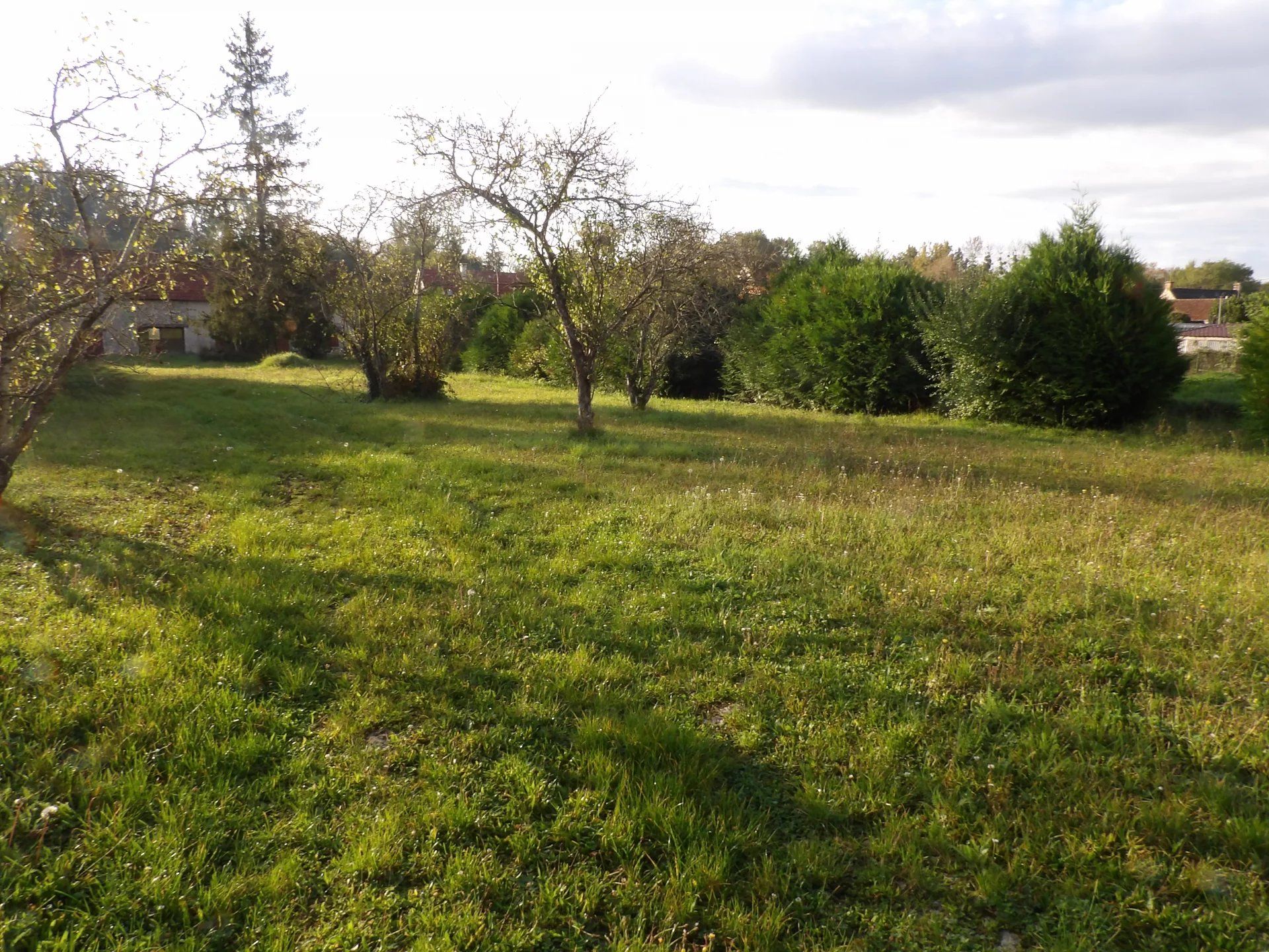 Terre dans Aulnay-la-Riviere, Centre-Val de Loire 12817949