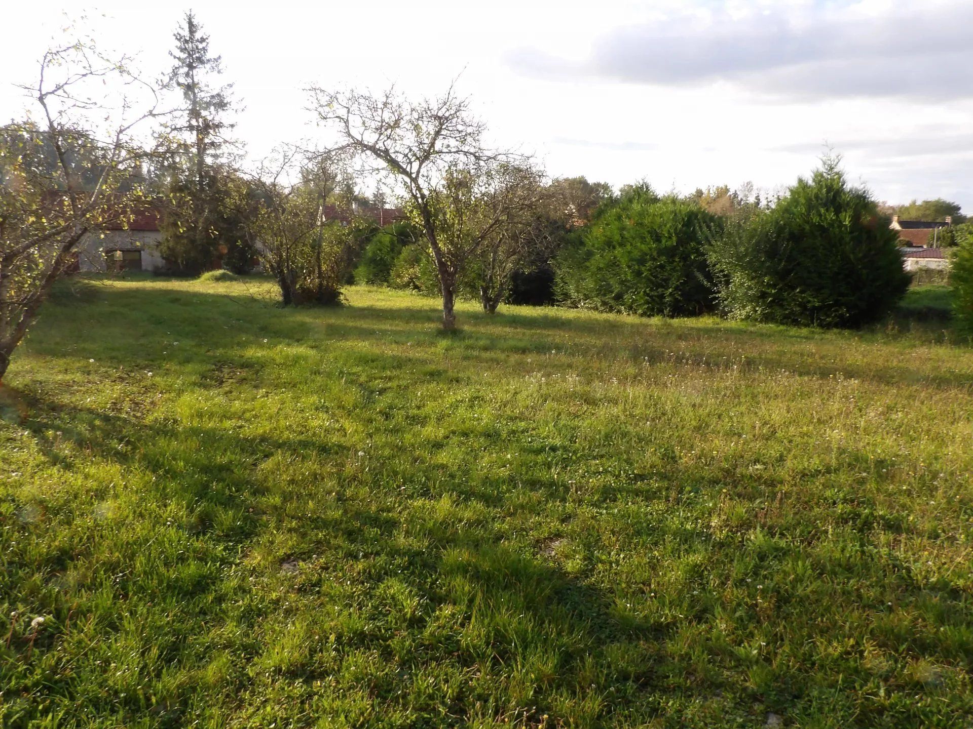 Tanah di Aulnay-la-Rivière, Loiret 12817950