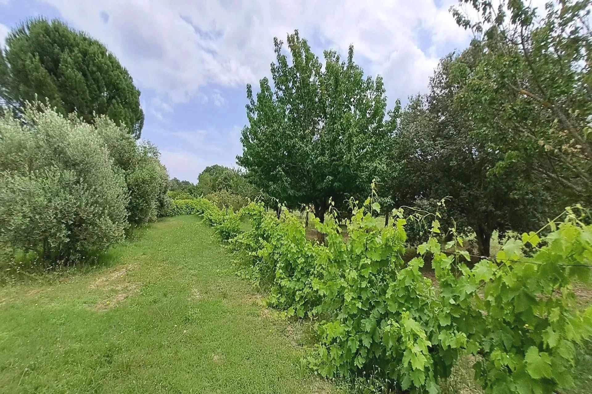 casa en Rognes, Bouches-du-Rhône 12817991