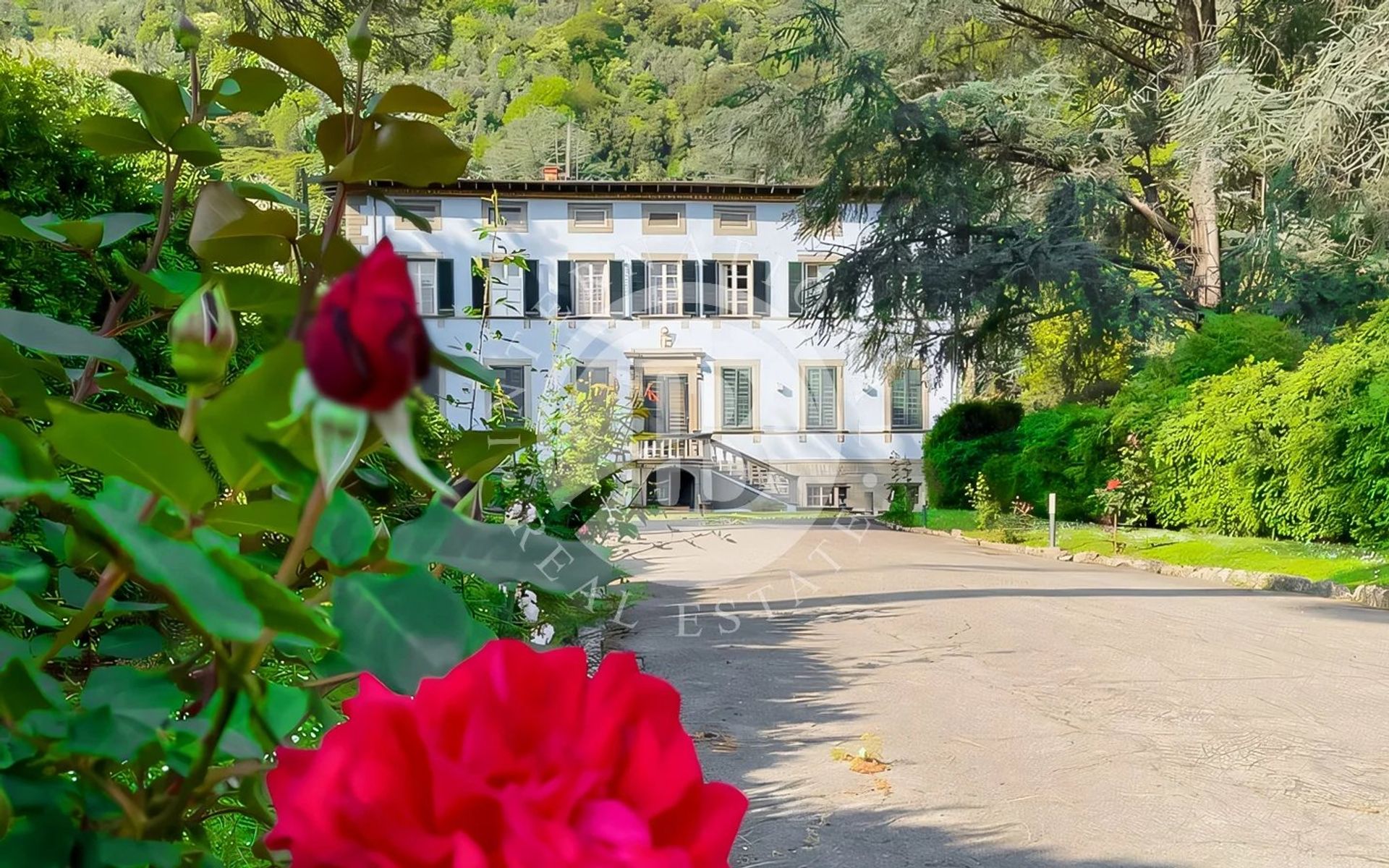 casa en Camaiore, Tuscany 12818224