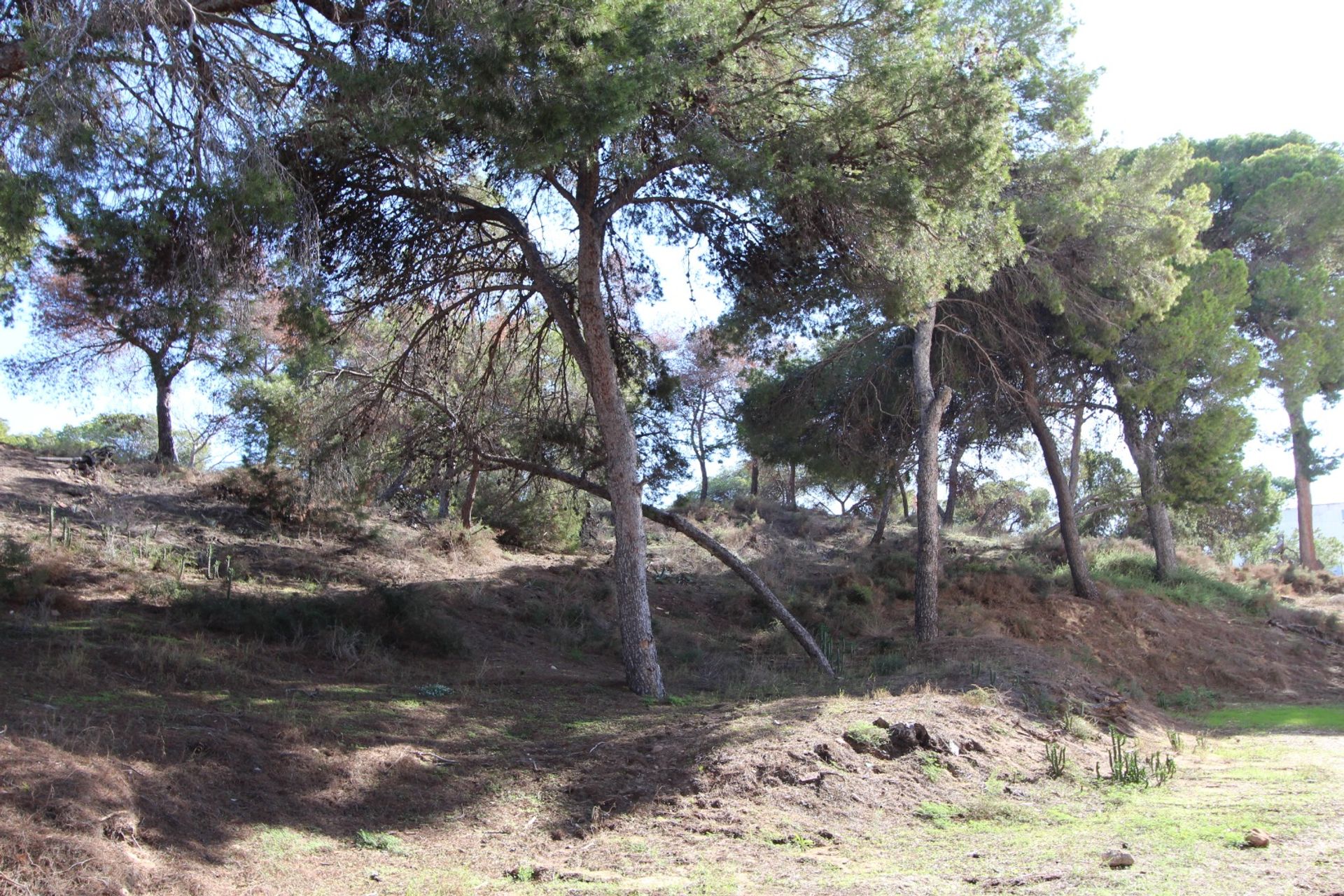 Eigentumswohnung im Guardamar del Segura, Comunidad Valenciana 12820214