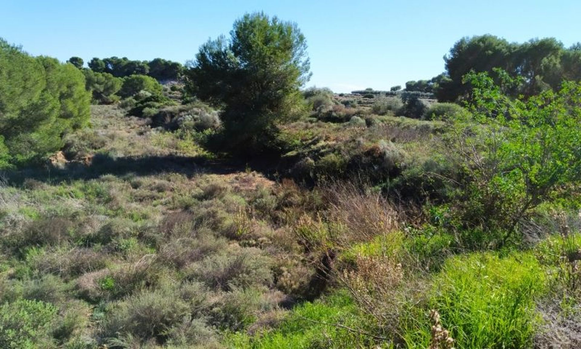 Casa nel Casas Nuevas, Murcia 12820723