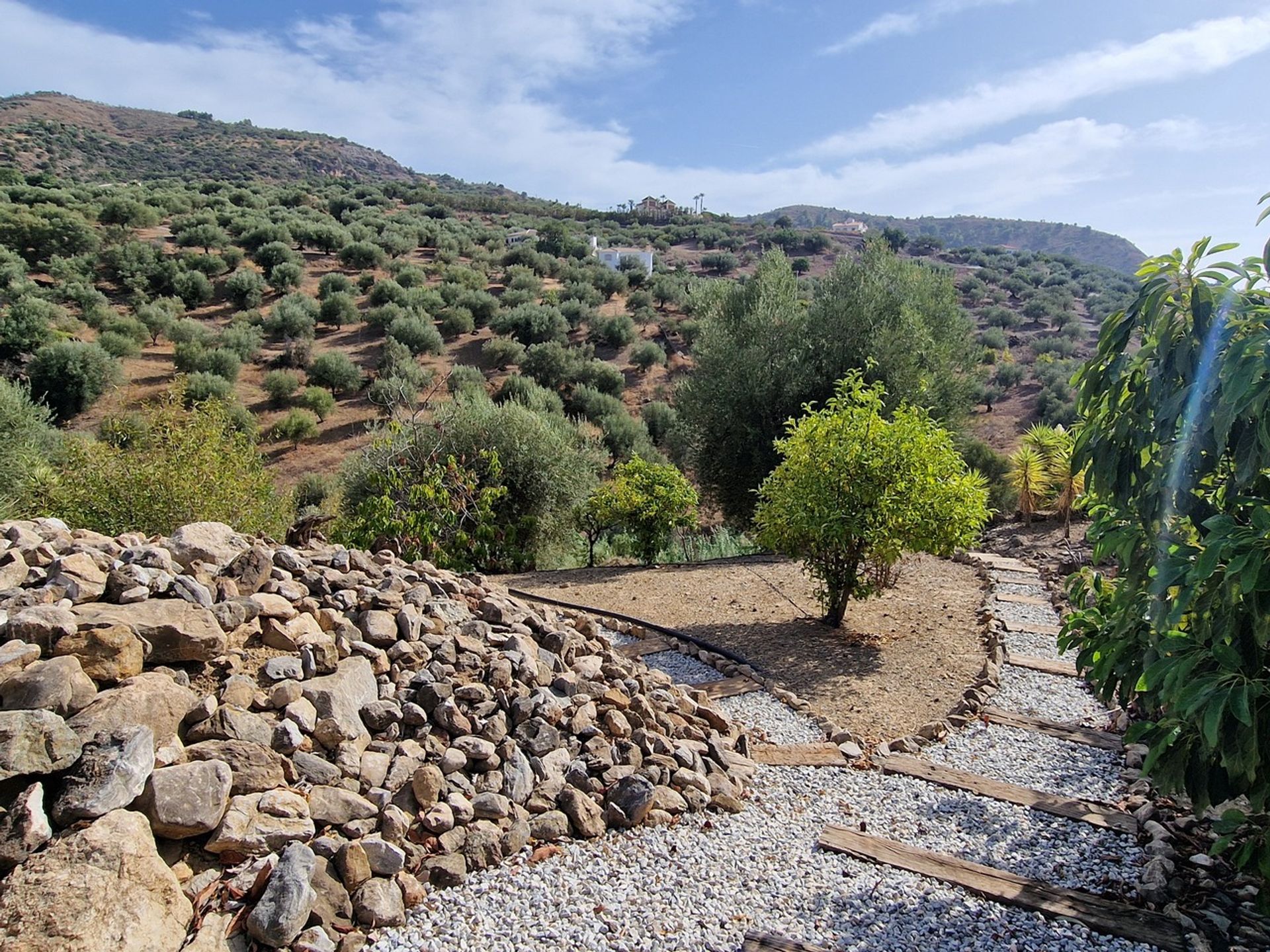 Talo sisään Alcaucín, Andalucía 12821257