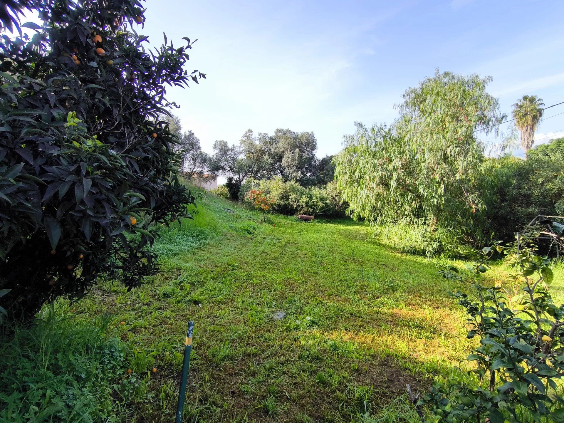 loger dans Bastelicaccia, Corse-du-Sud 12821394