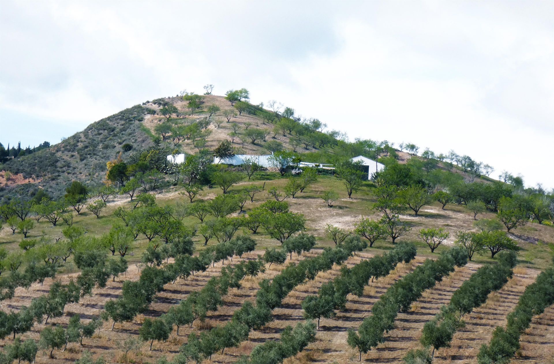 Dom w Ardales, Andalucía 12822524