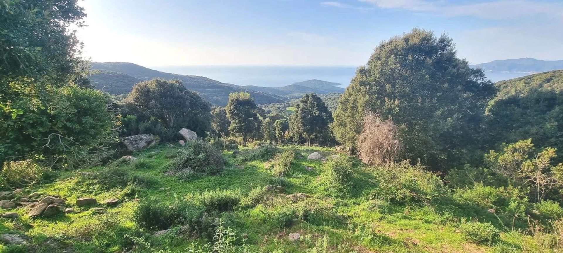 Terre dans Coti Chiavari, la Corse 12822733