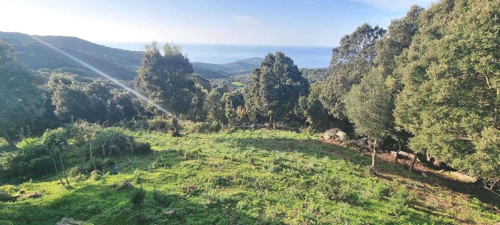 Terre dans Coti Chiavari, la Corse 12822733