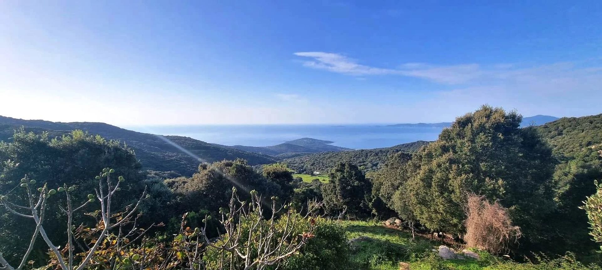 Terre dans Coti Chiavari, la Corse 12822733