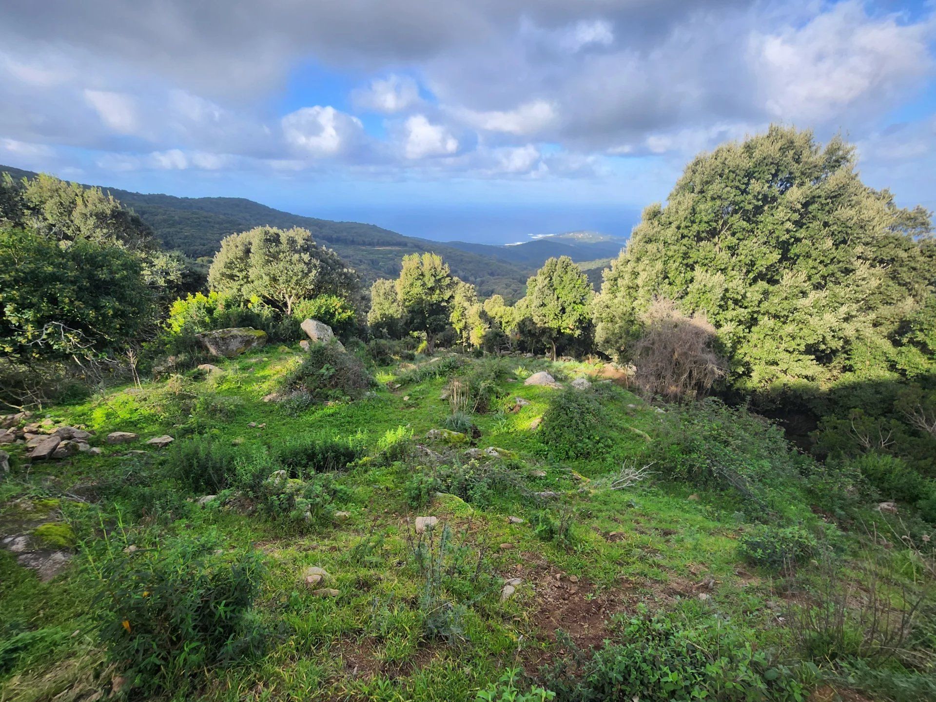 الأرض في Coti-Chiavari, Corse-du-Sud 12822733