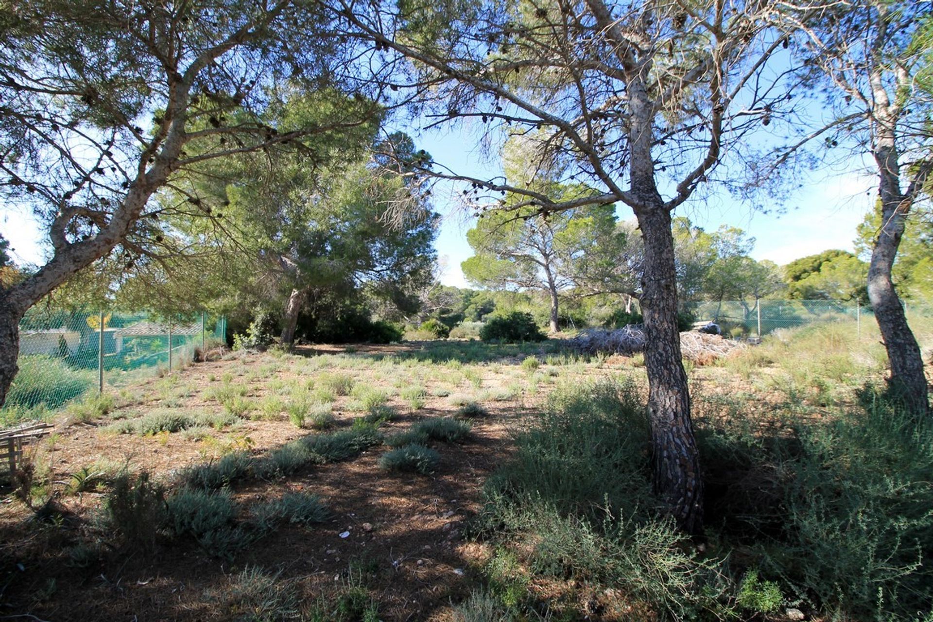 Autre dans Pilar de la Horadada, Comunidad Valenciana 12823017