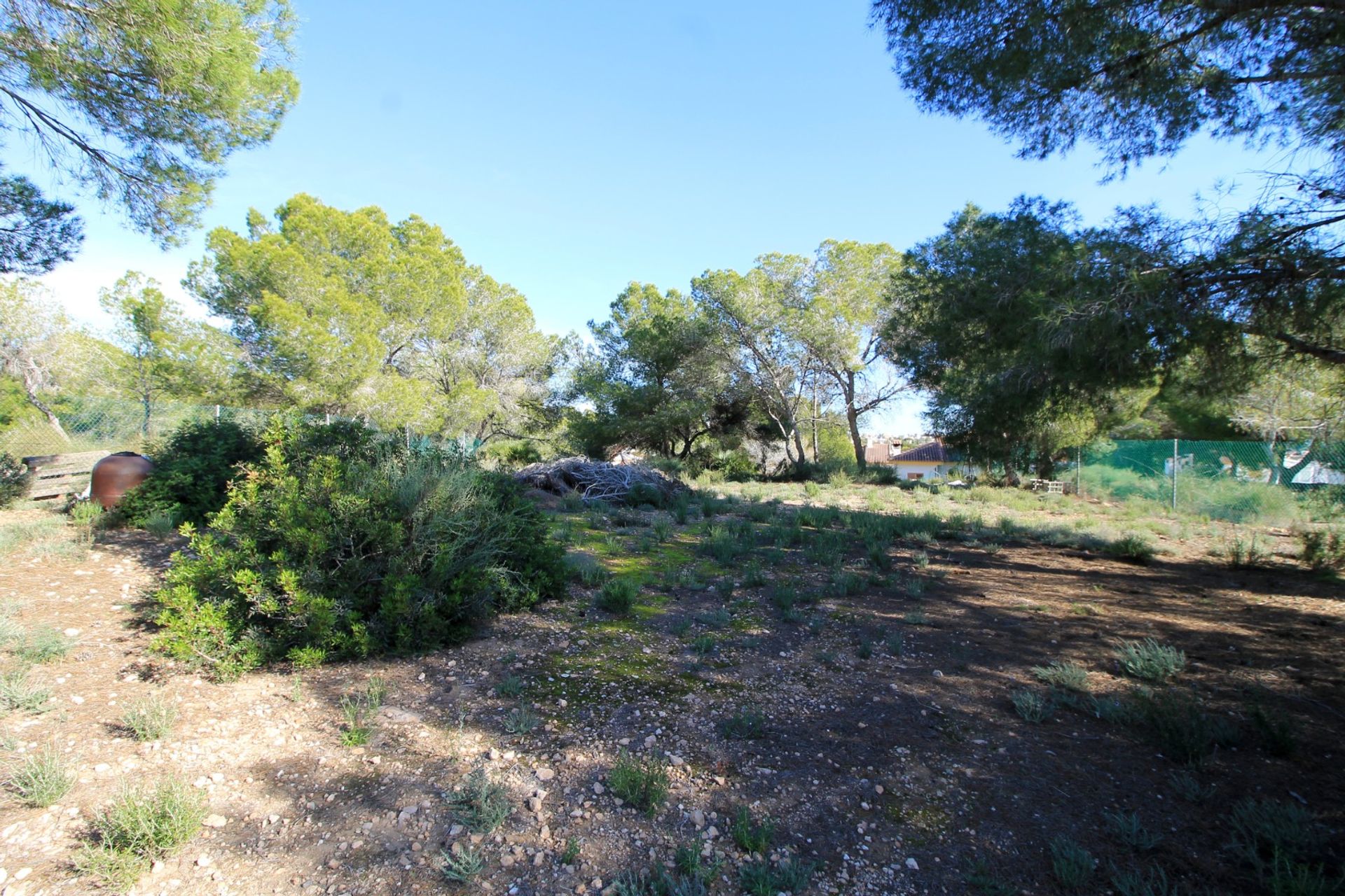 Autre dans Pilar de la Horadada, Comunidad Valenciana 12823017