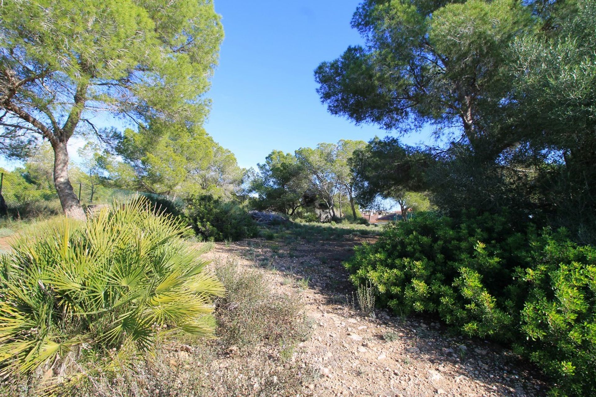 Autre dans Pilar de la Horadada, Comunidad Valenciana 12823017