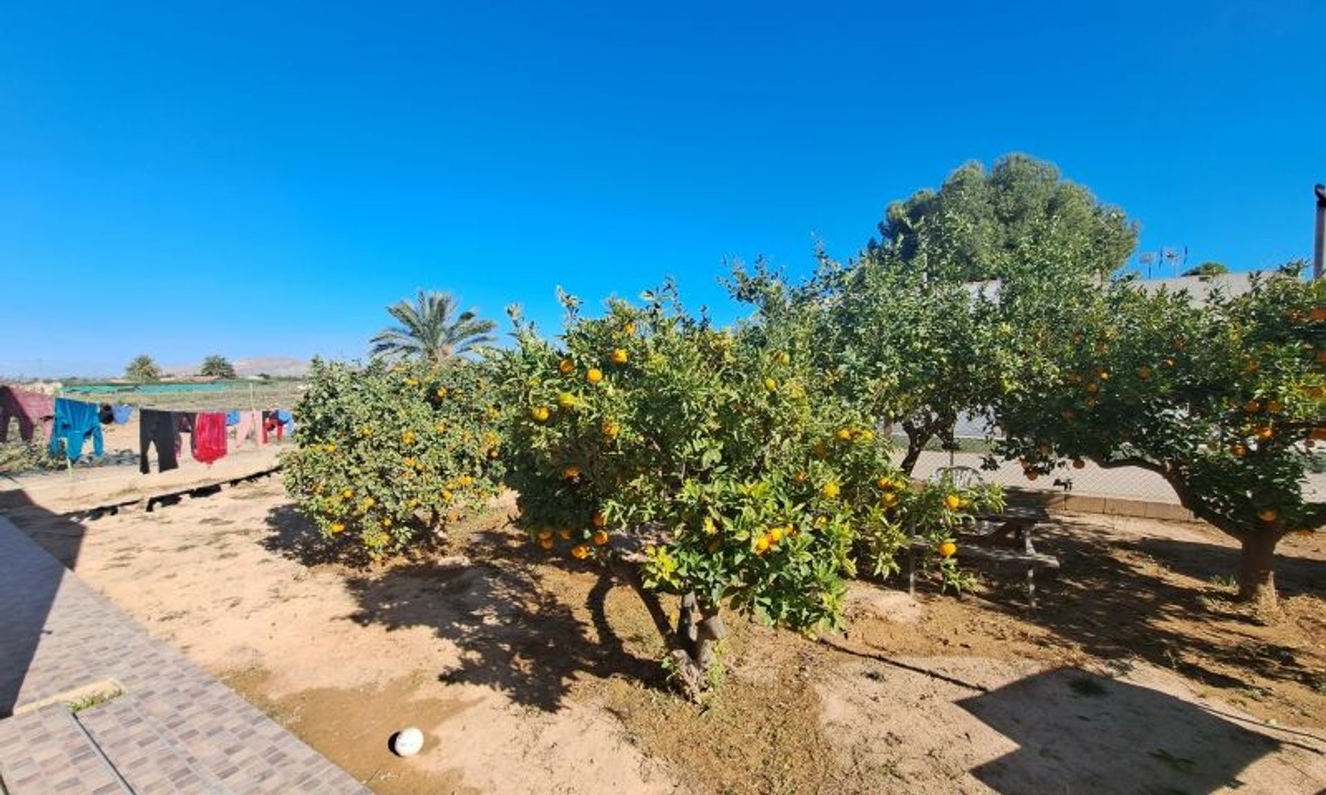 loger dans Torre-Pacheco, Región de Murcia 12823402