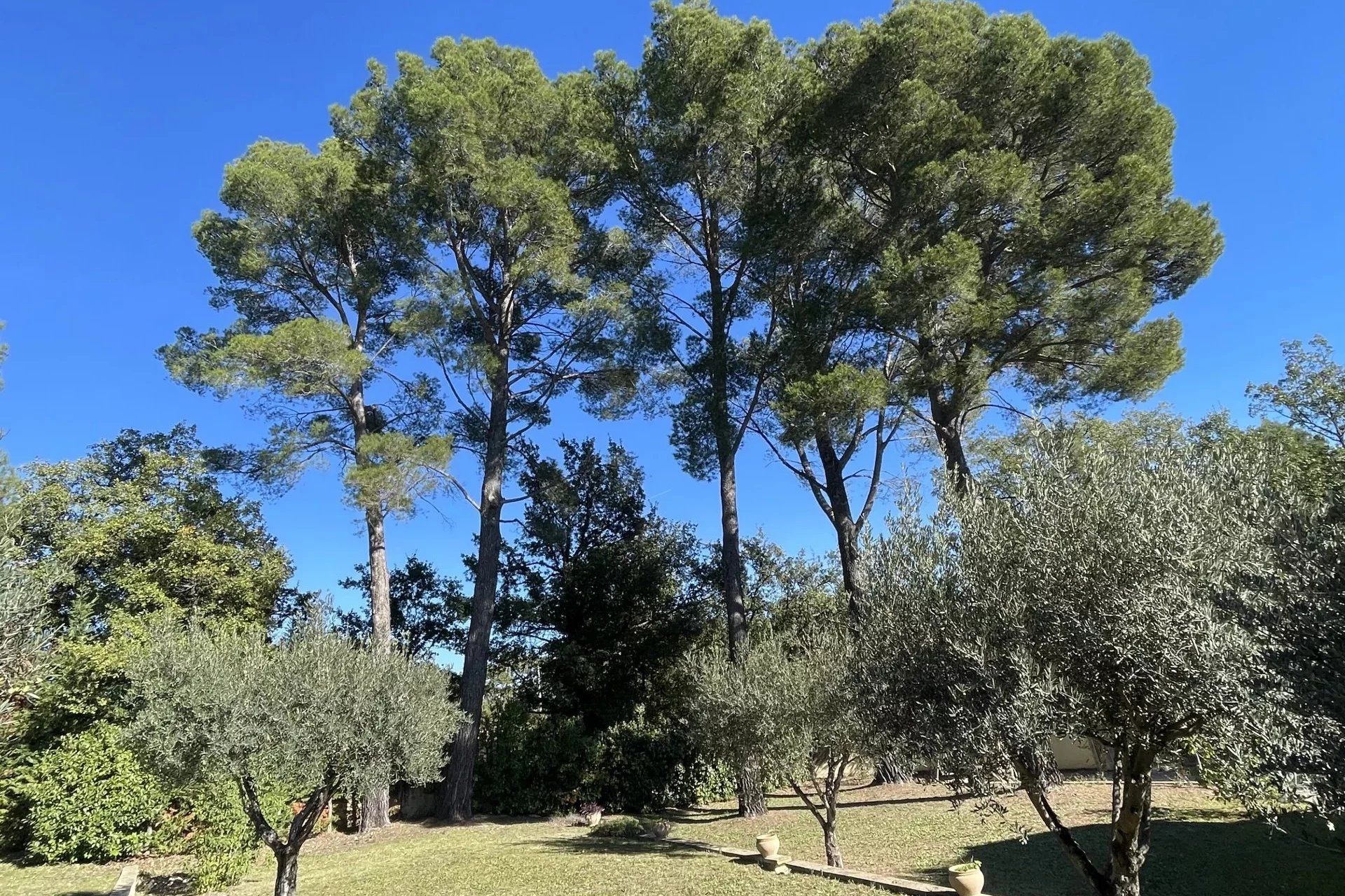 loger dans Fayence, Var 12823469