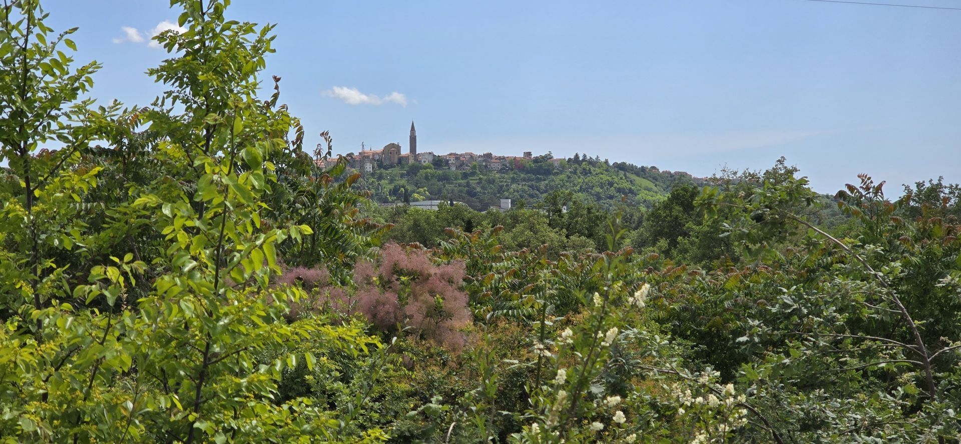 Land in Buje, Istarska Zupanija 12824723