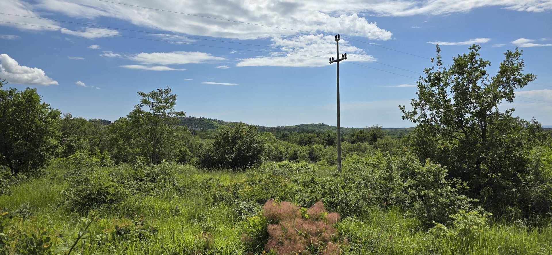 Maa sisään Buje, Istria County 12824723