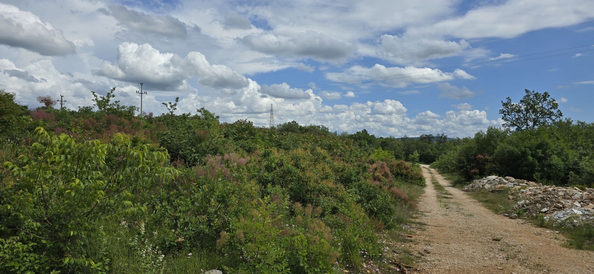 Γη σε Buje, Istria County 12824723