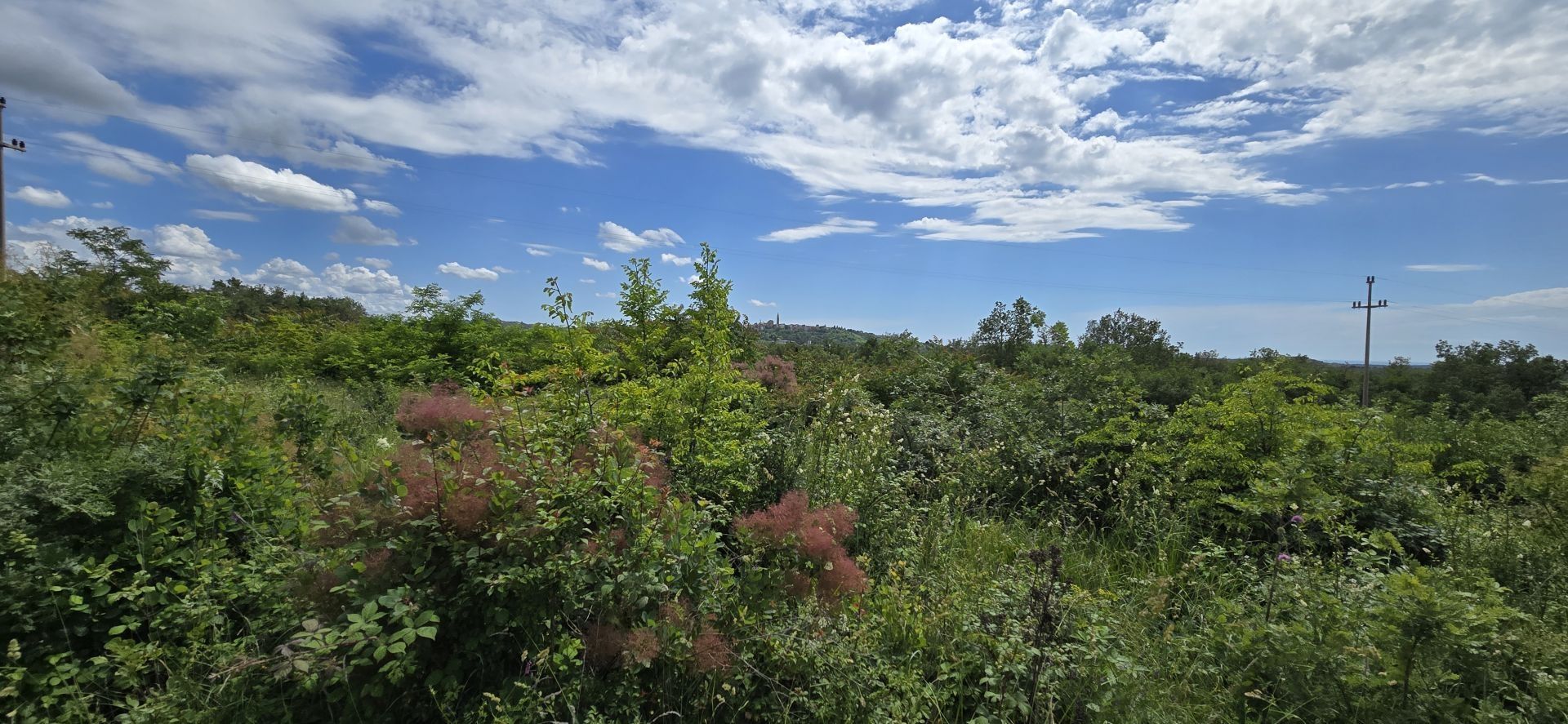 Tanah di Buje, Istria County 12824724