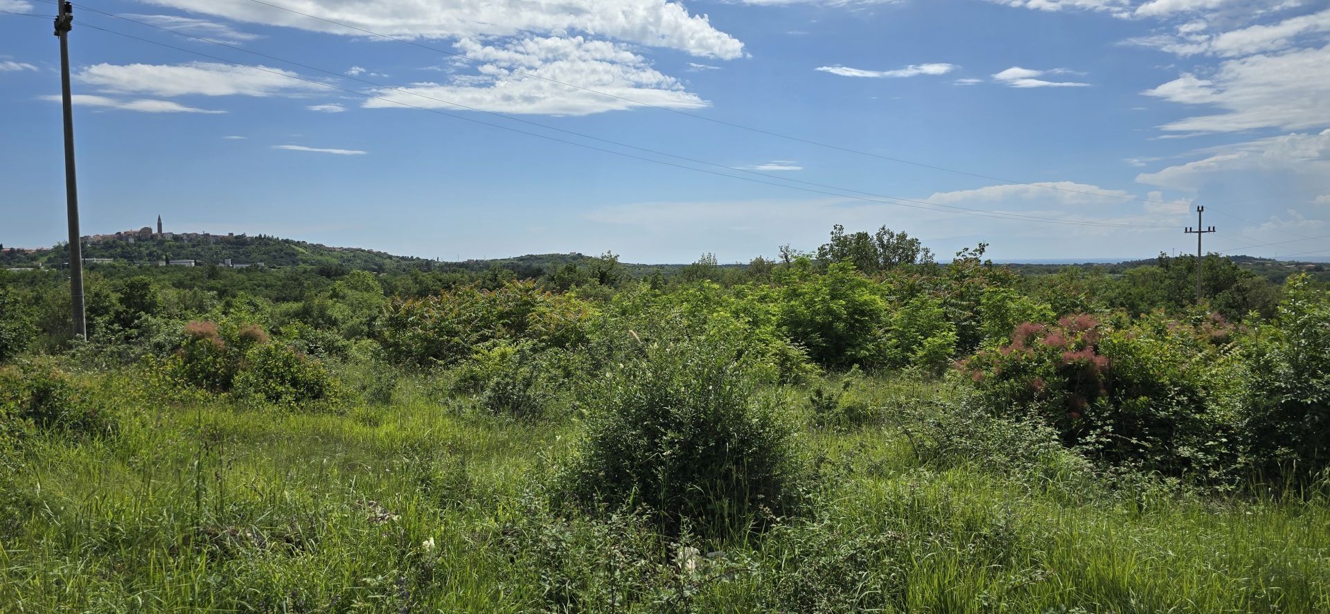 Tanah di Buje, Istria County 12824724