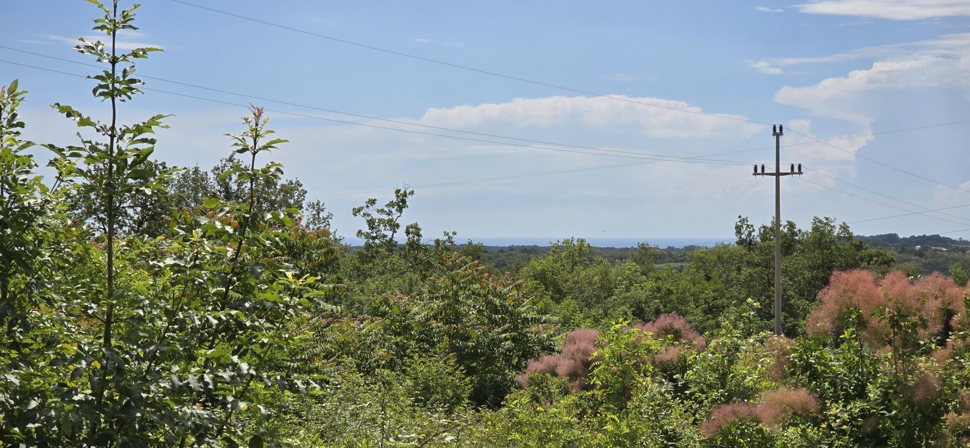 Tanah di Buje, Istria County 12824724