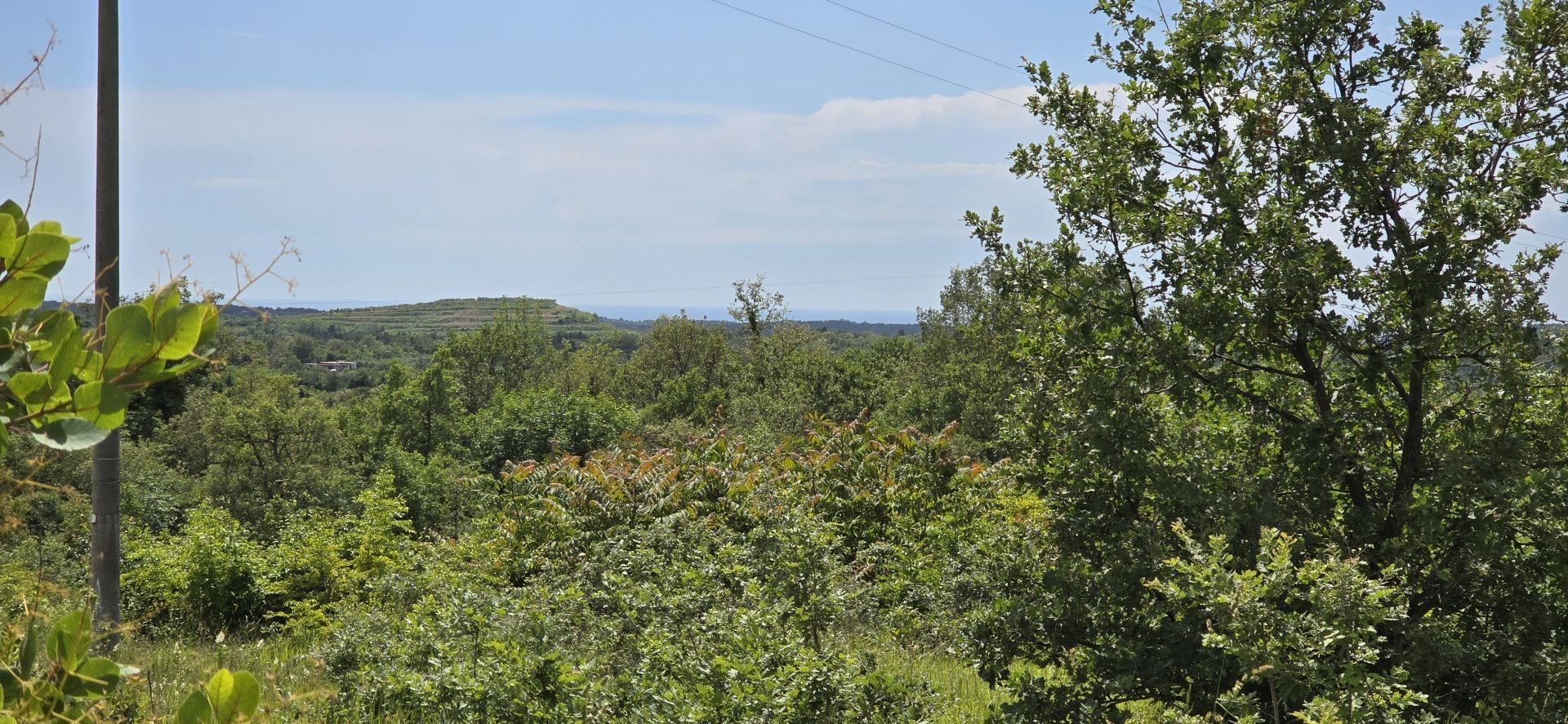 Terra no Buje, Istria County 12824725