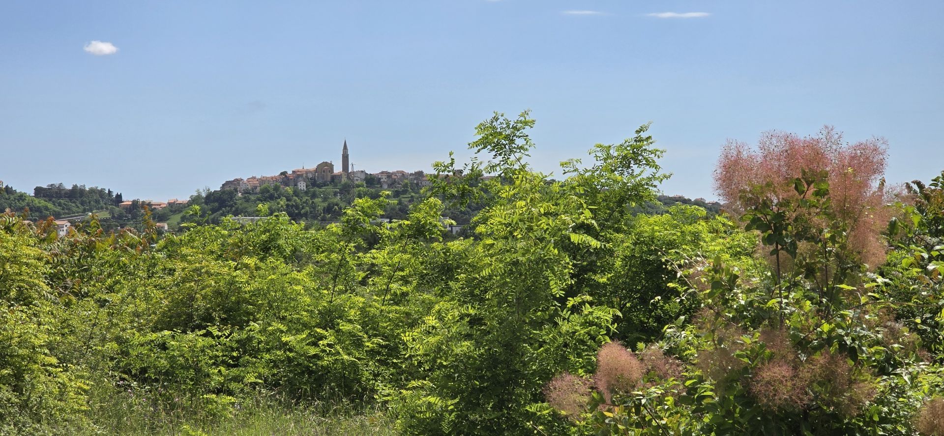 Terra no Buje, Istria County 12824725