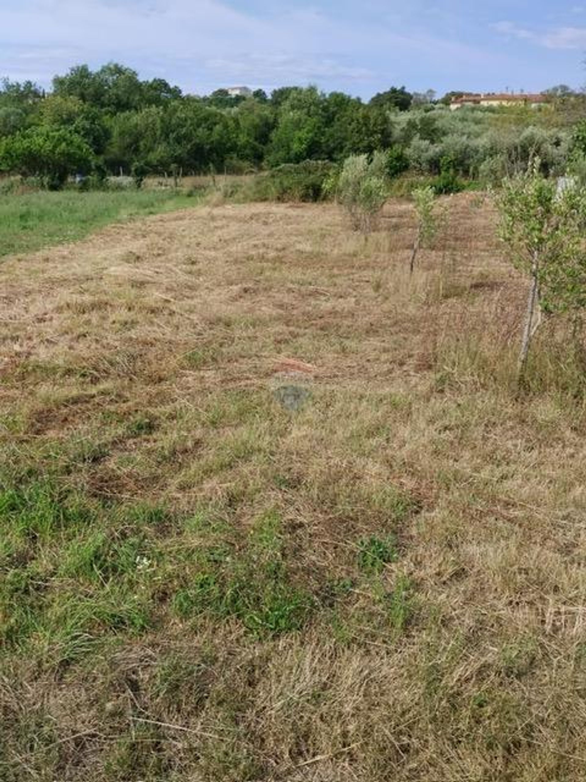 Land in Krk, Primorsko-Goranska Zupanija 12826541