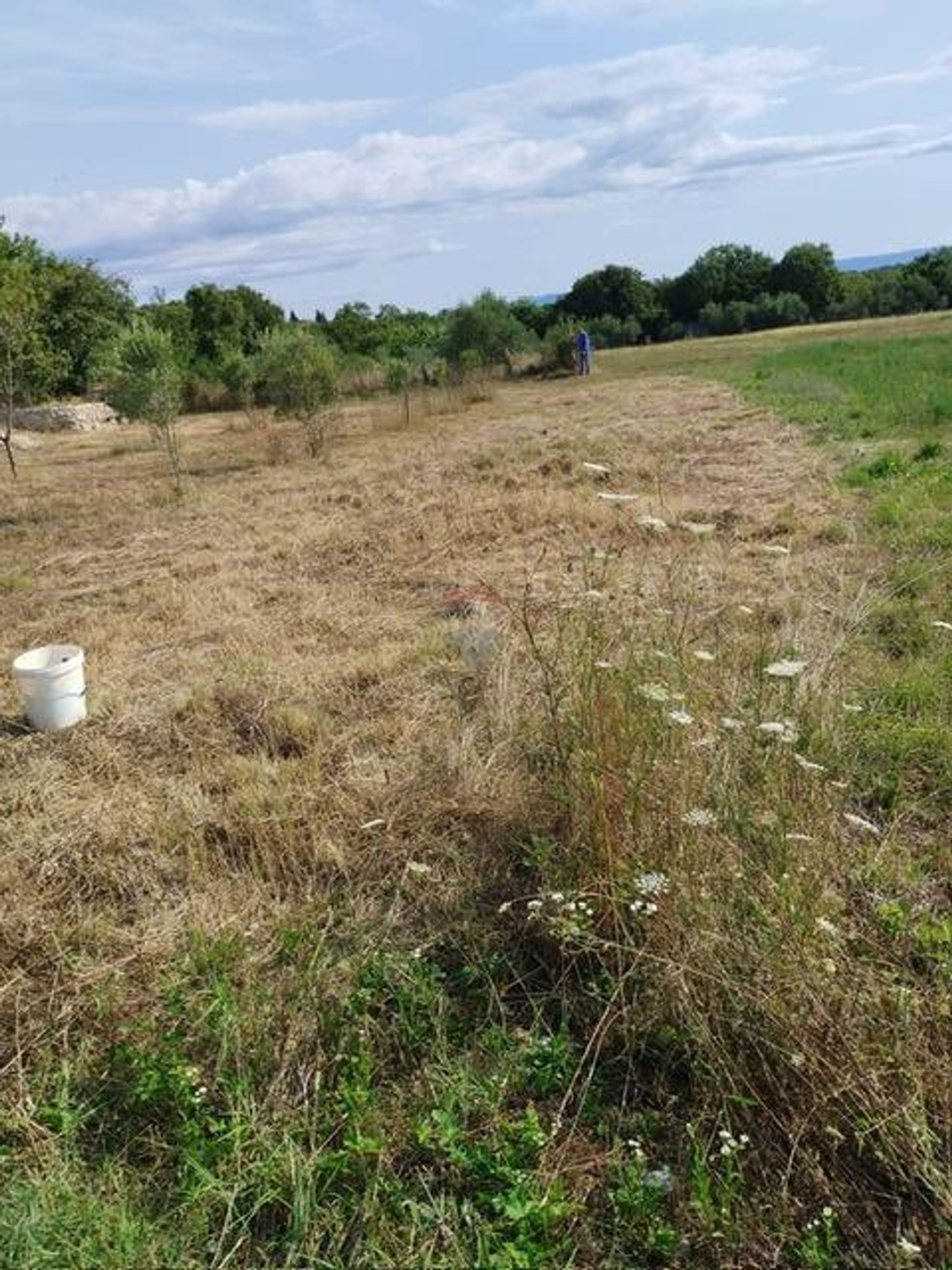 Land in Vrh, Primorsko-goranska županija 12826541