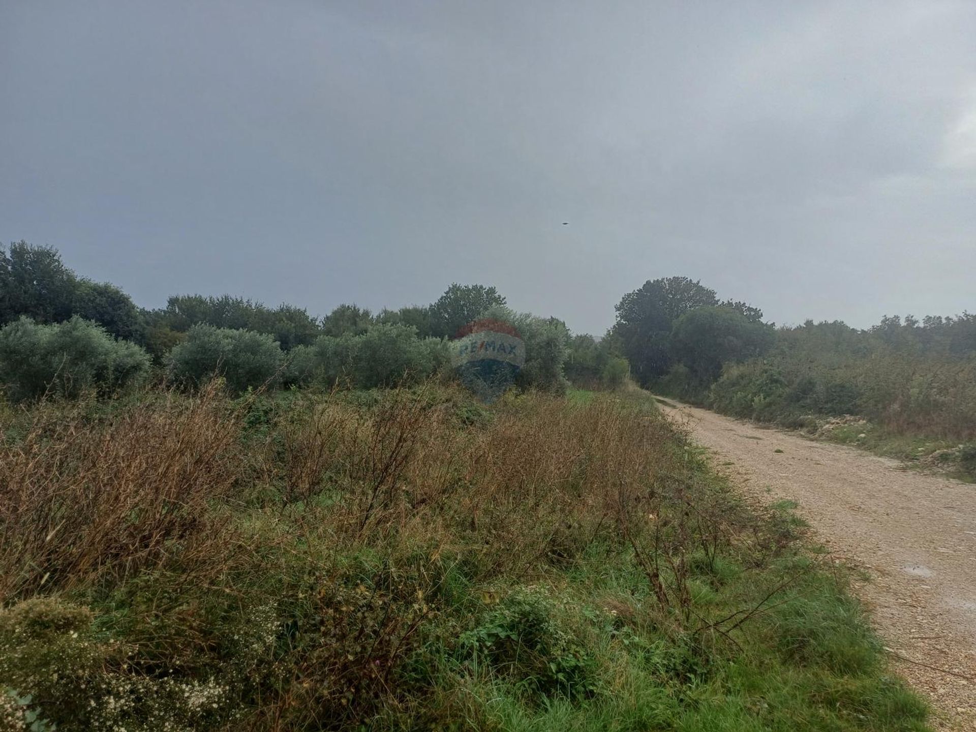 Land in Liznjan, Istarska Zupanija 12826543