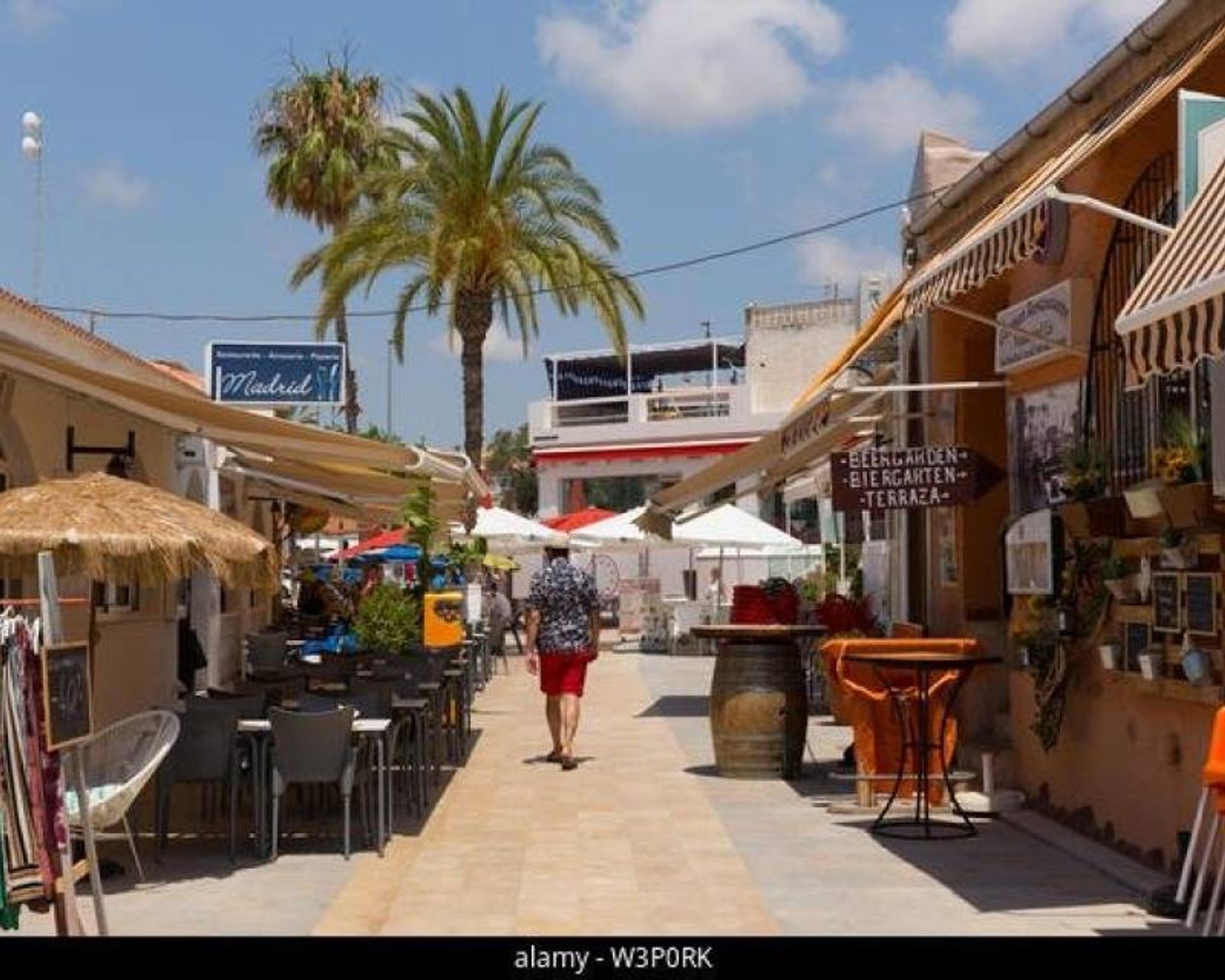 casa en Mil Palmeras, Comunidad Valenciana 12827075