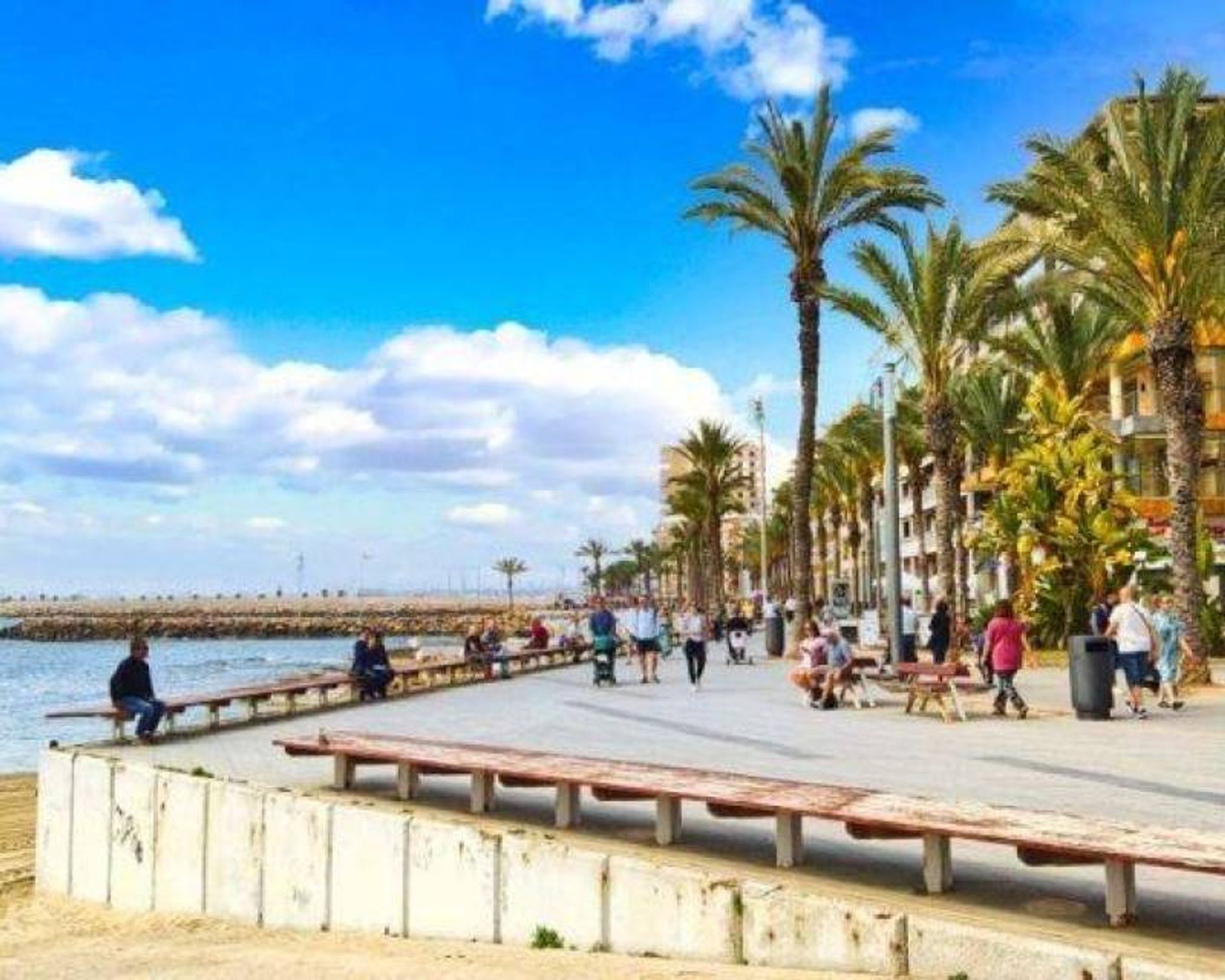 Talo sisään Torrevieja, Comunidad Valenciana 12827240