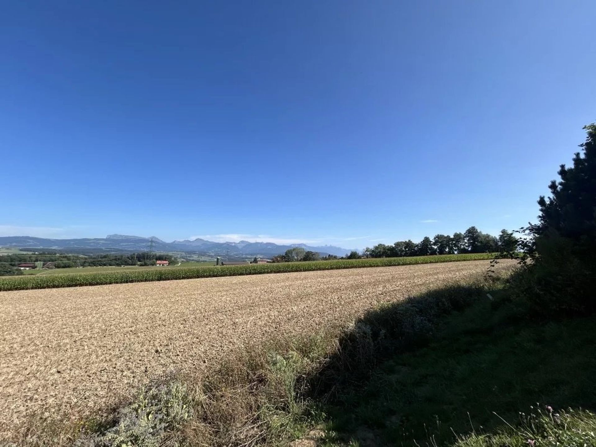 公寓 在 Palézieux, District de Lavaux-Oron 12828657