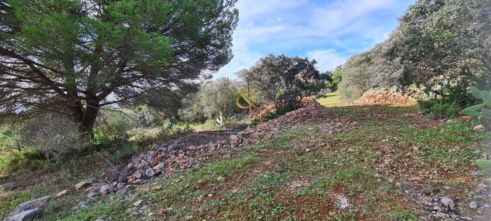 Land in São Brás de Alportel, Faro District 12828886