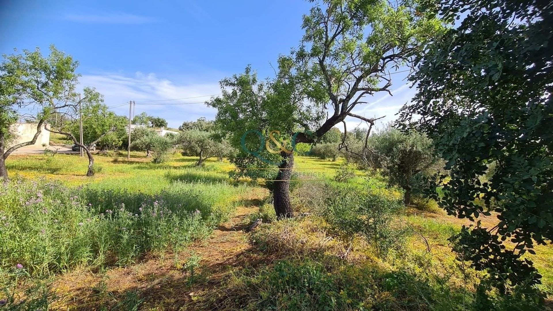 Sbarcare nel Sao Bras de Alportel, Faro 12828890