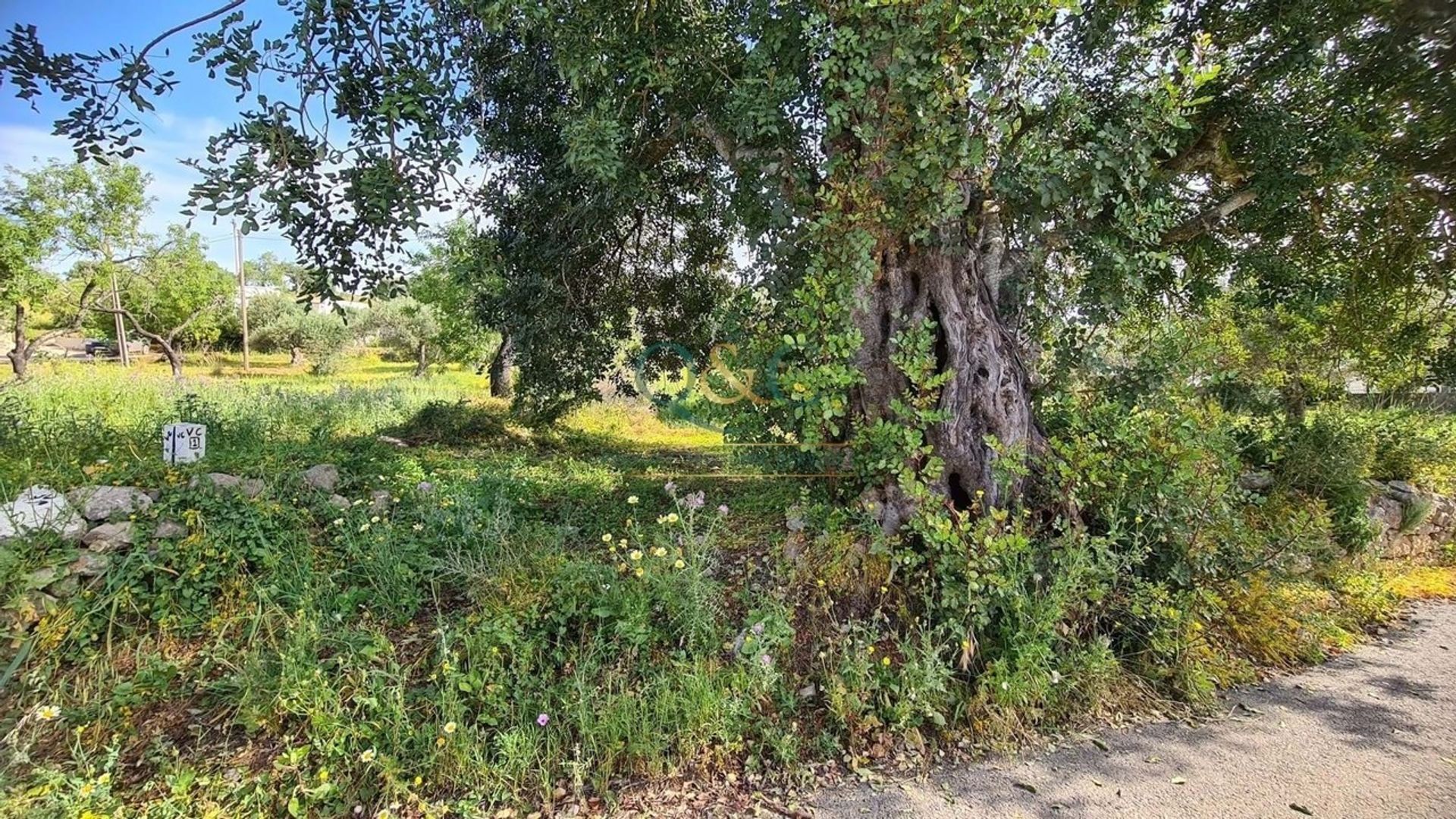 Land in São Brás de Alportel, Faro District 12828890