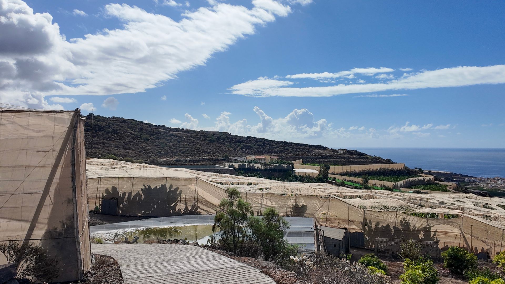 Land im Guía de Isora, Canarias 12829085