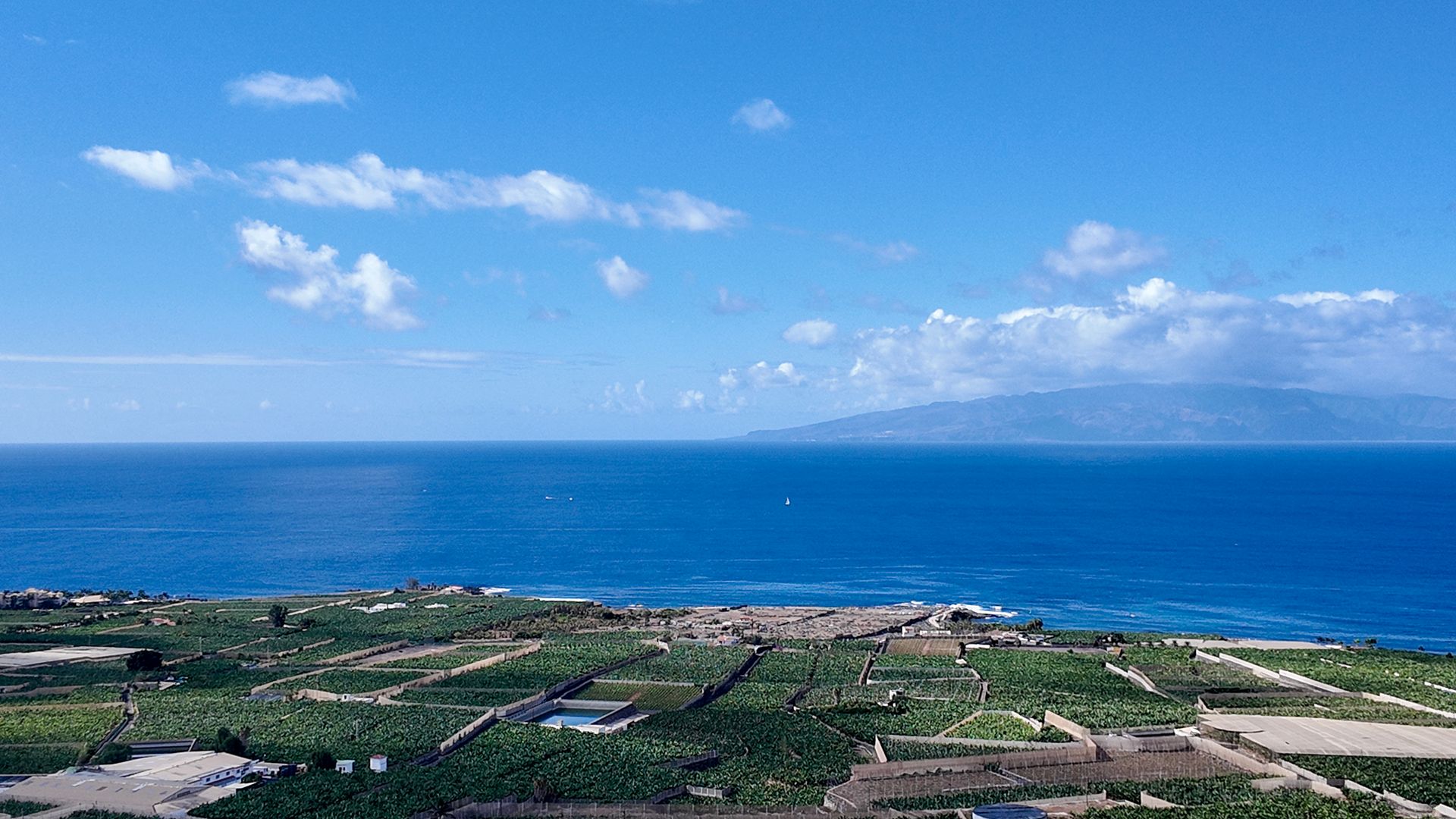 나라 에 Guia de Isora, Canary Islands 12829085