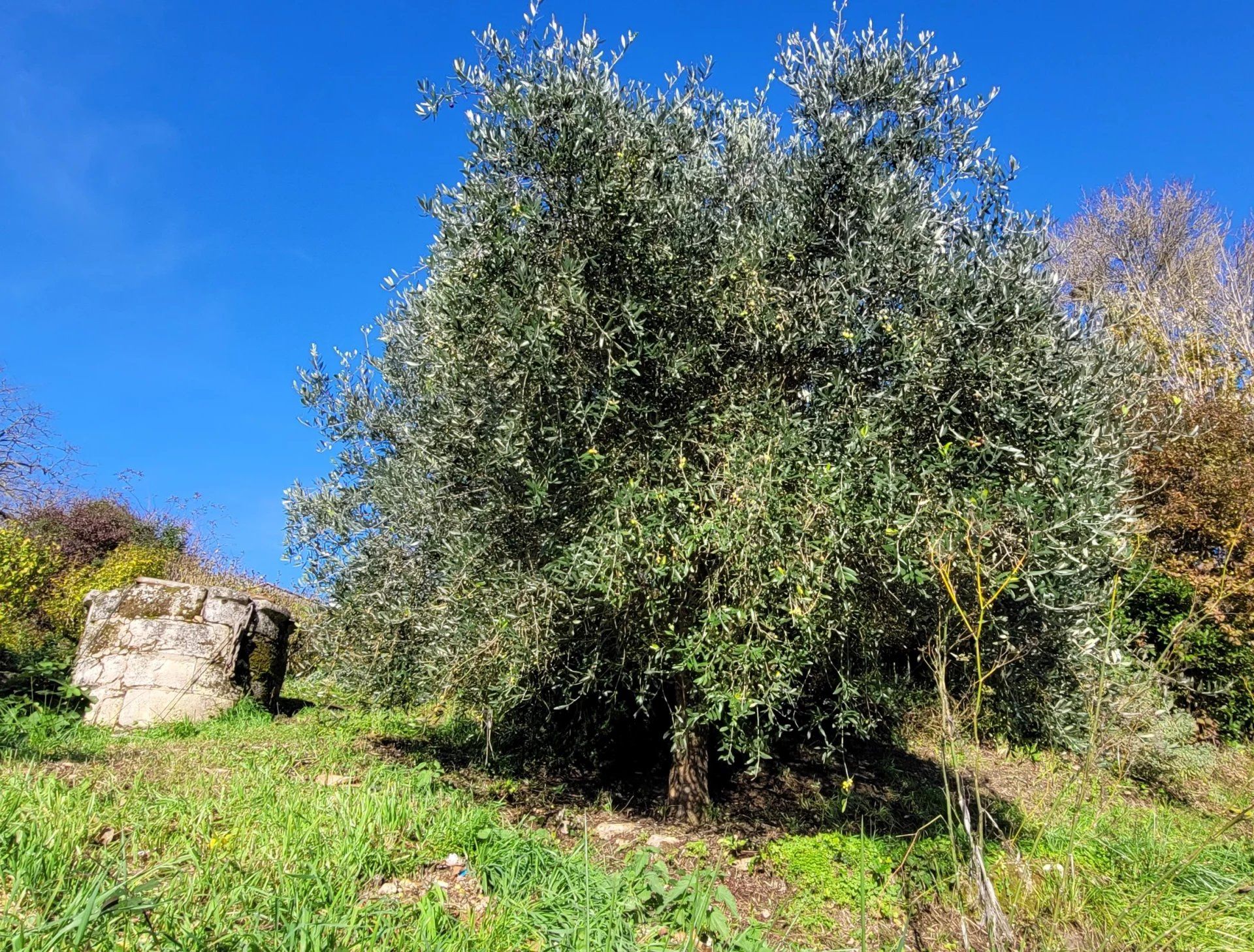 casa no Saint-Romain-la-Virvée, Gironde 12829559