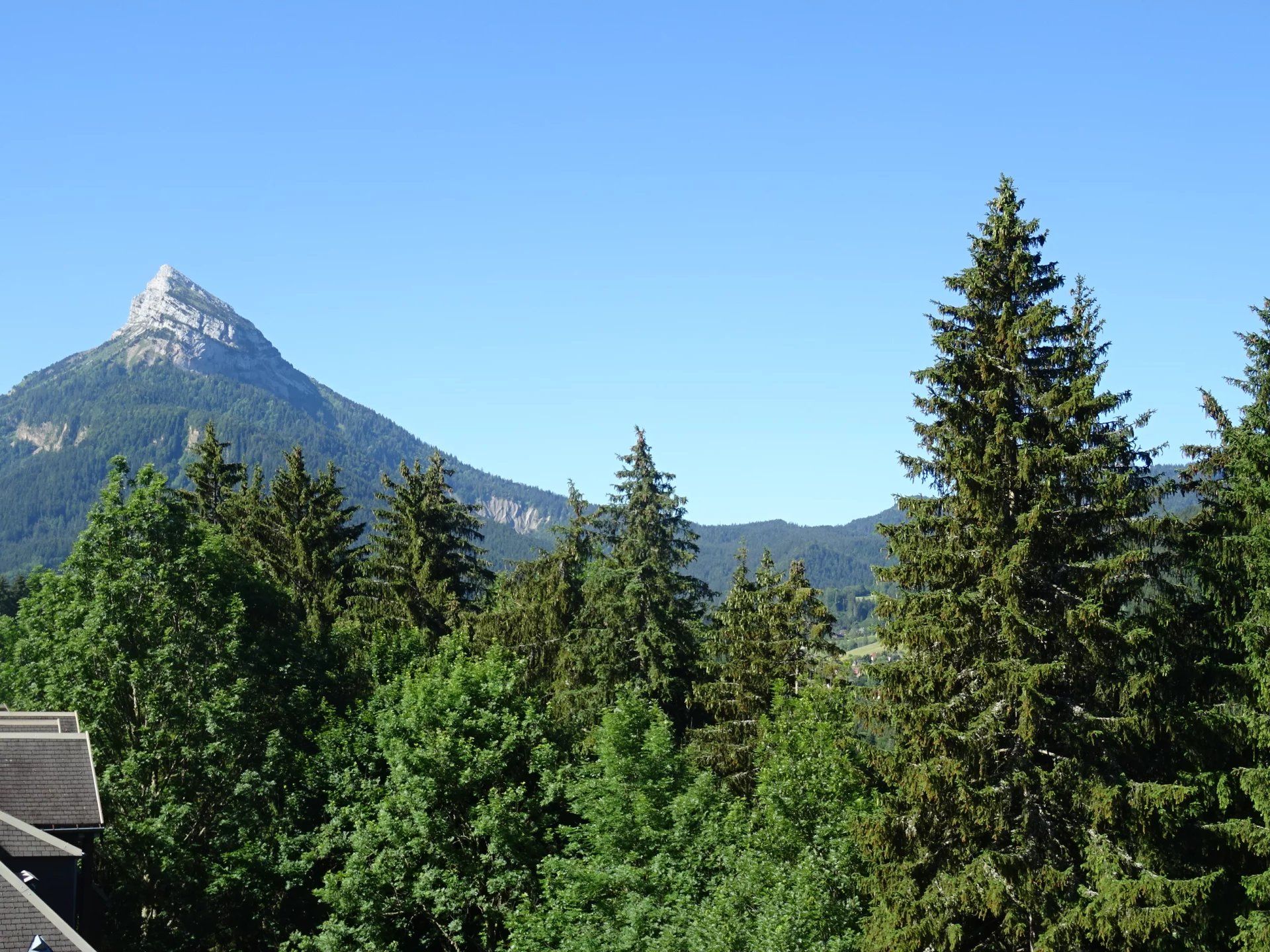 Condominio nel Saint-Pierre-de-Chartreuse, Isère 12829573