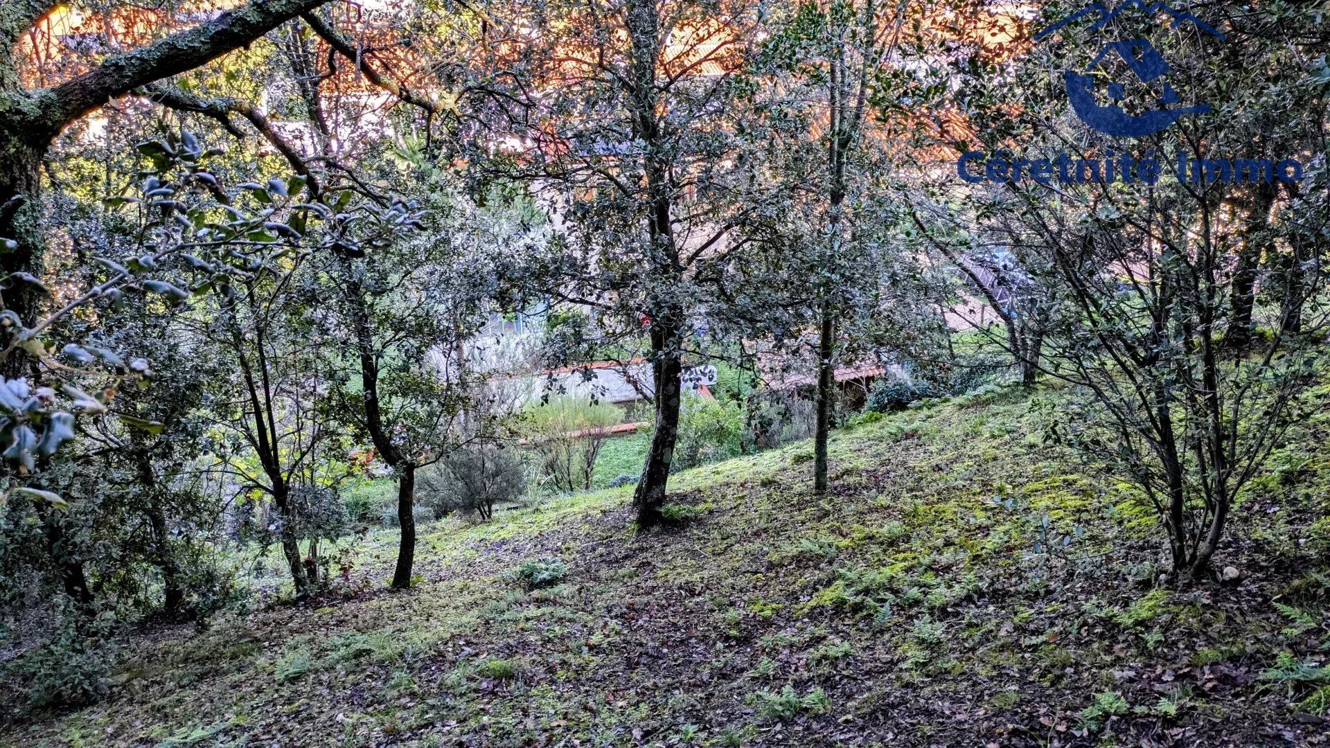 Haus im Reynès, Pyrénées-Orientales 12830445