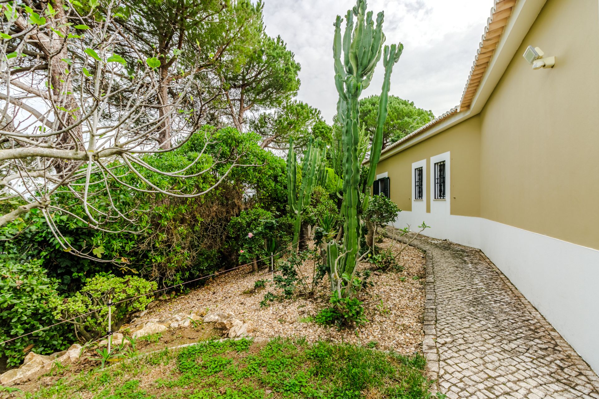 Huis in Lagos, Faro 12830575