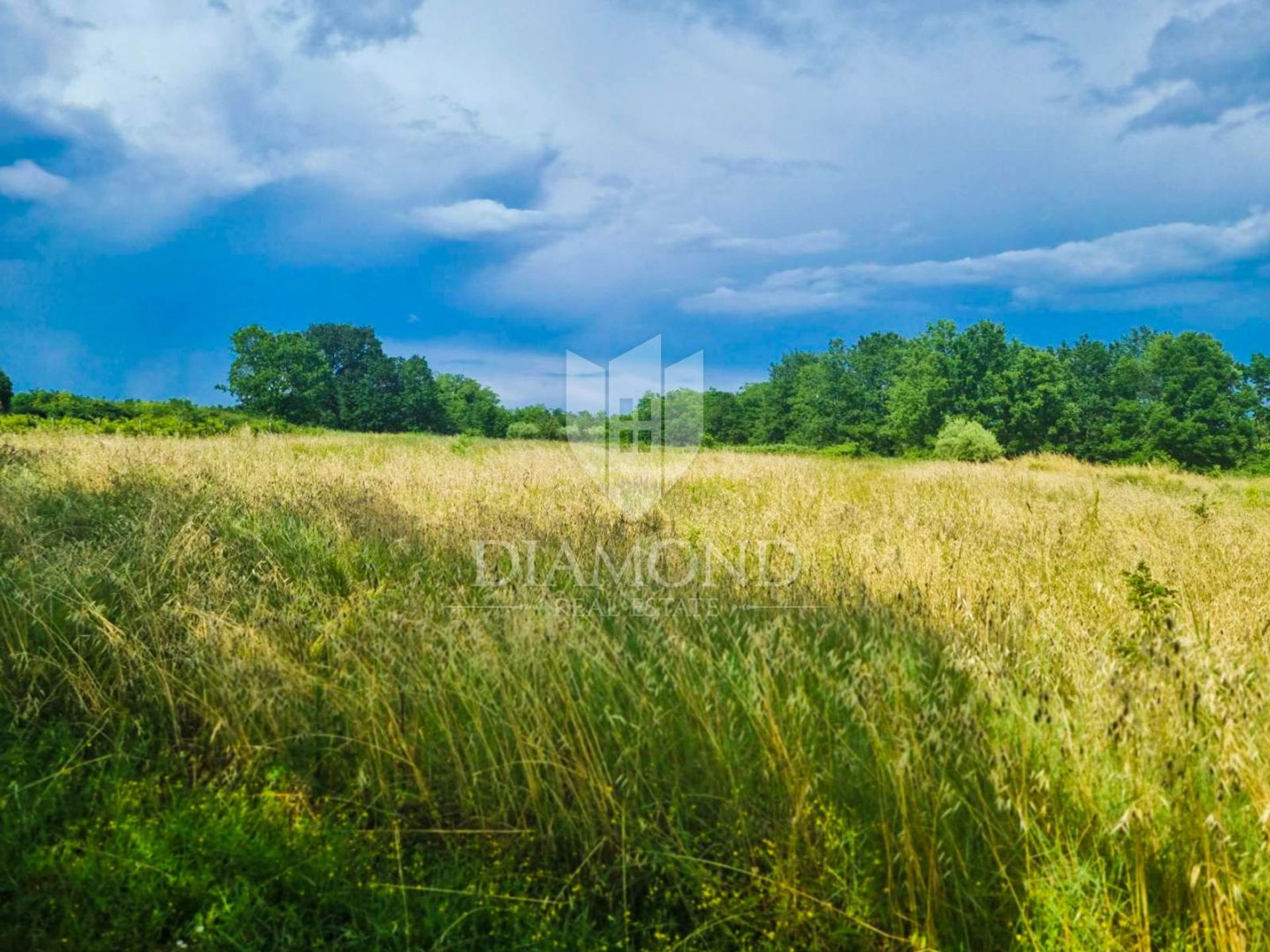 Land i Poreč, Istria County 12830855