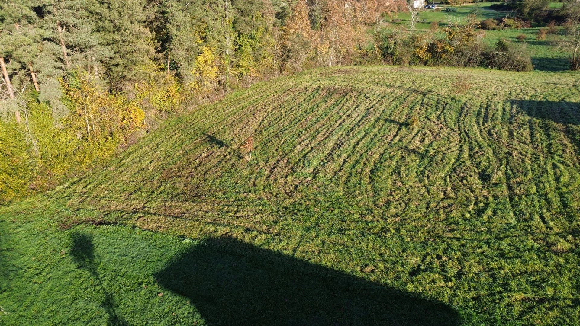 Γη σε Laujuzan, Occitanie 12831747