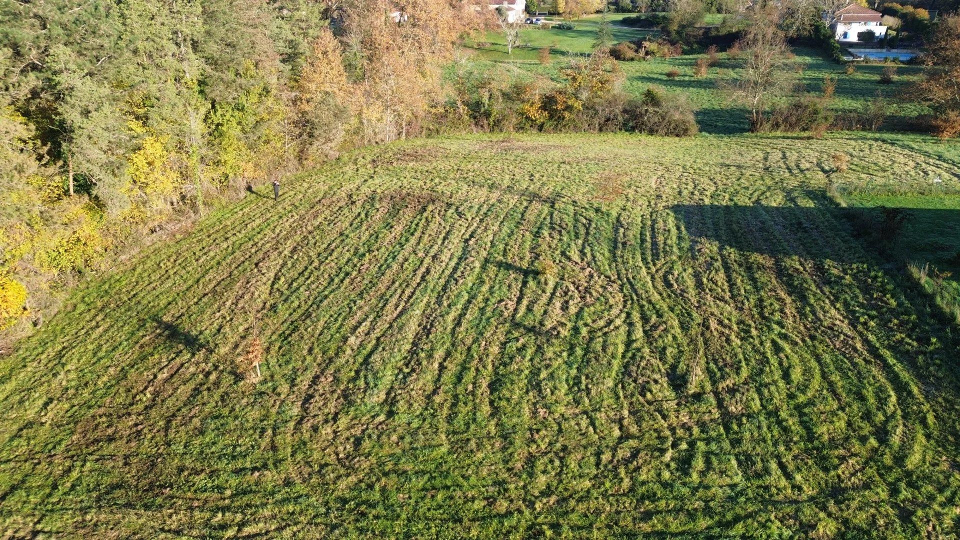 Γη σε Laujuzan, Occitanie 12831747